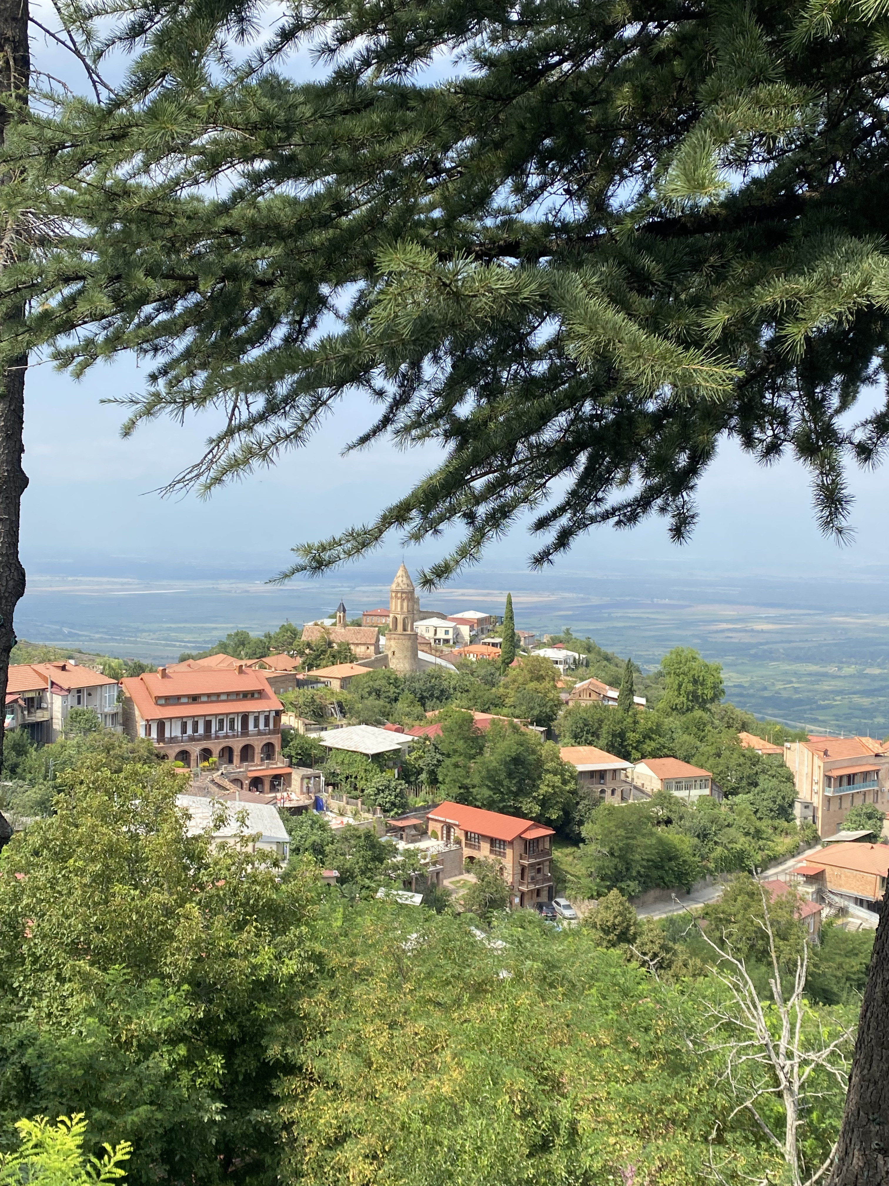 Комфорт-тур в Грузию: насыщенный маршрут, маленькая группа, хороший отель