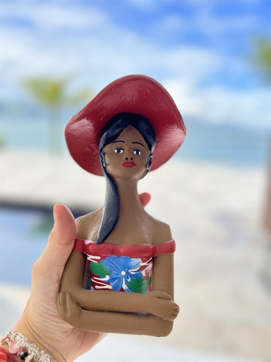 Индивидуальный, 1-2 человека  на автомобиле: три дня свободы под бразильским солнцем (25/35)