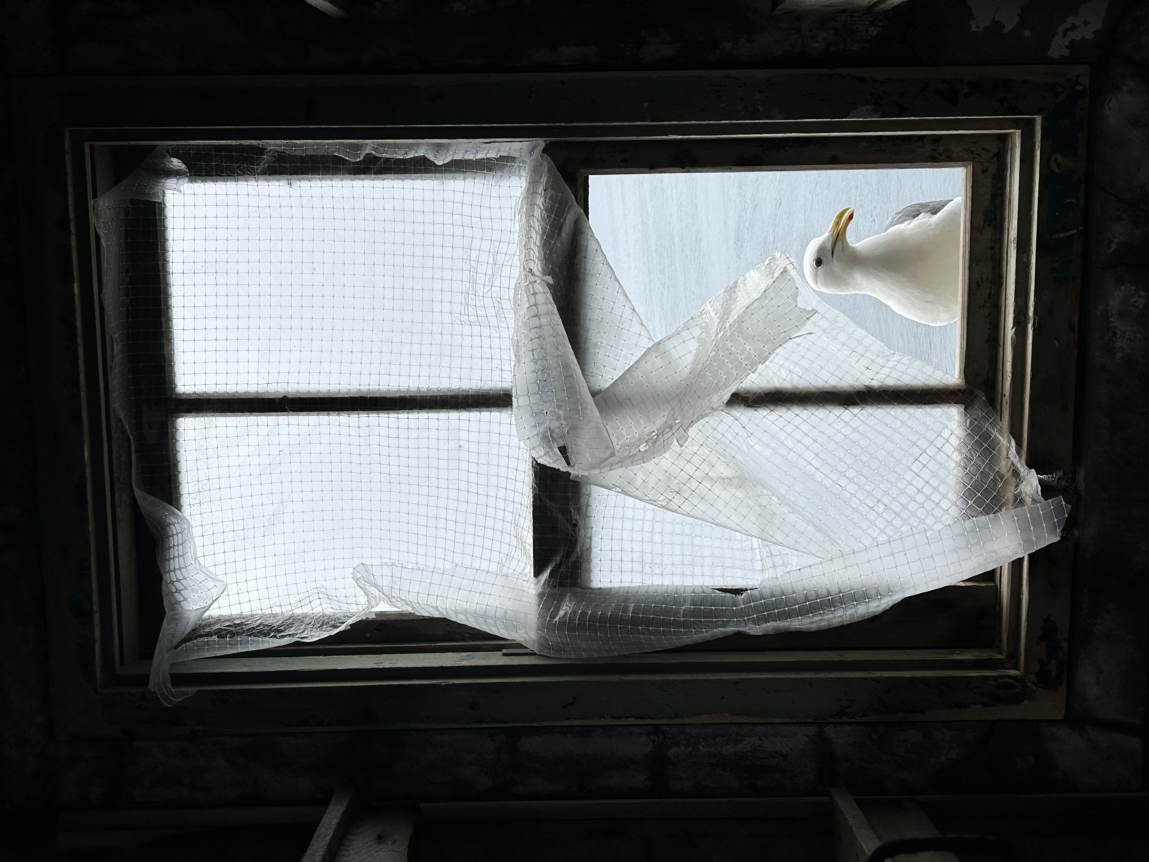 Авторский тур на Сахалин (56/61)