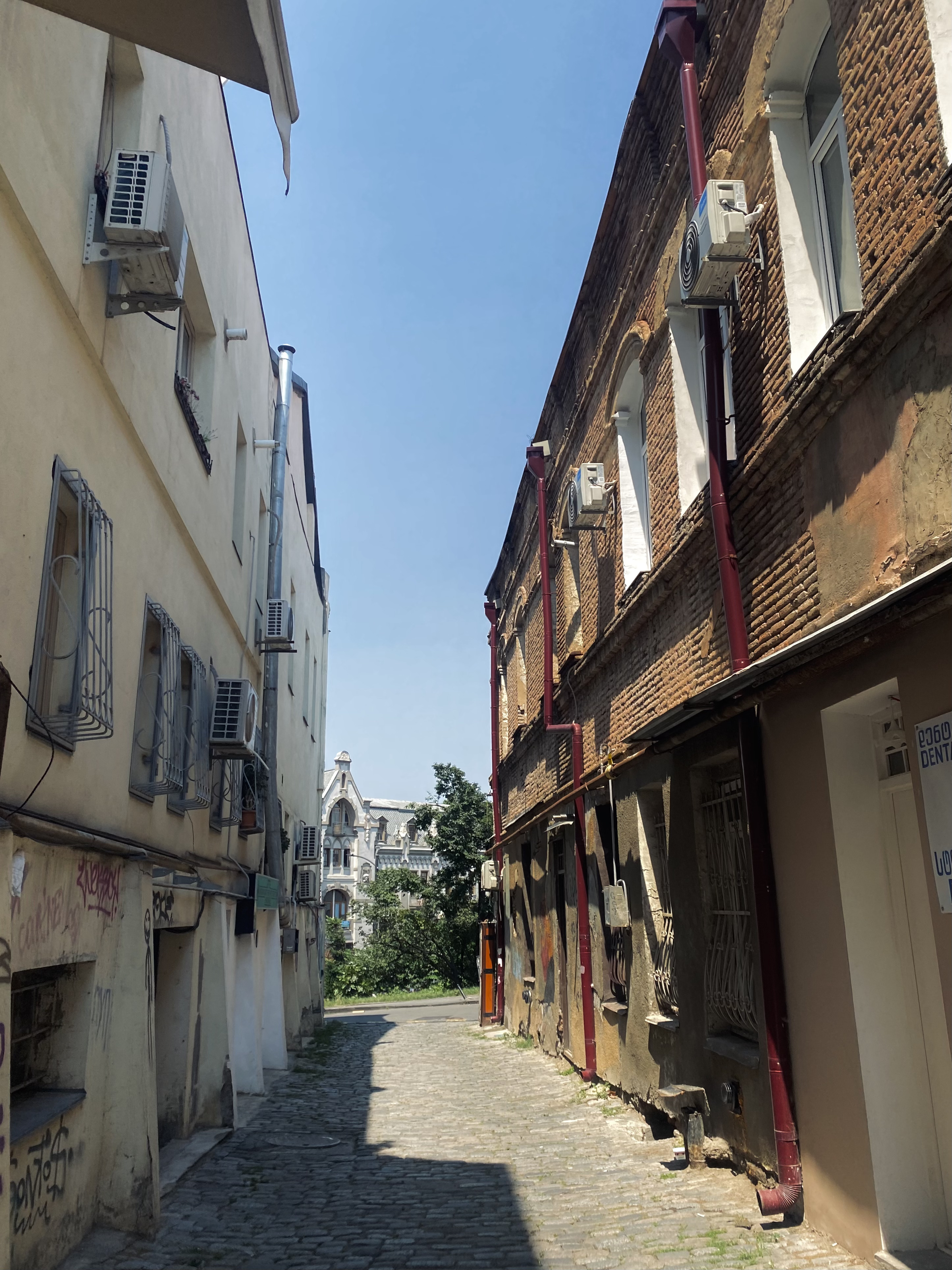 Комфорт тур в Грузию. Насыщенный маршрут, маленькая группа, хорошие отели (26/48)