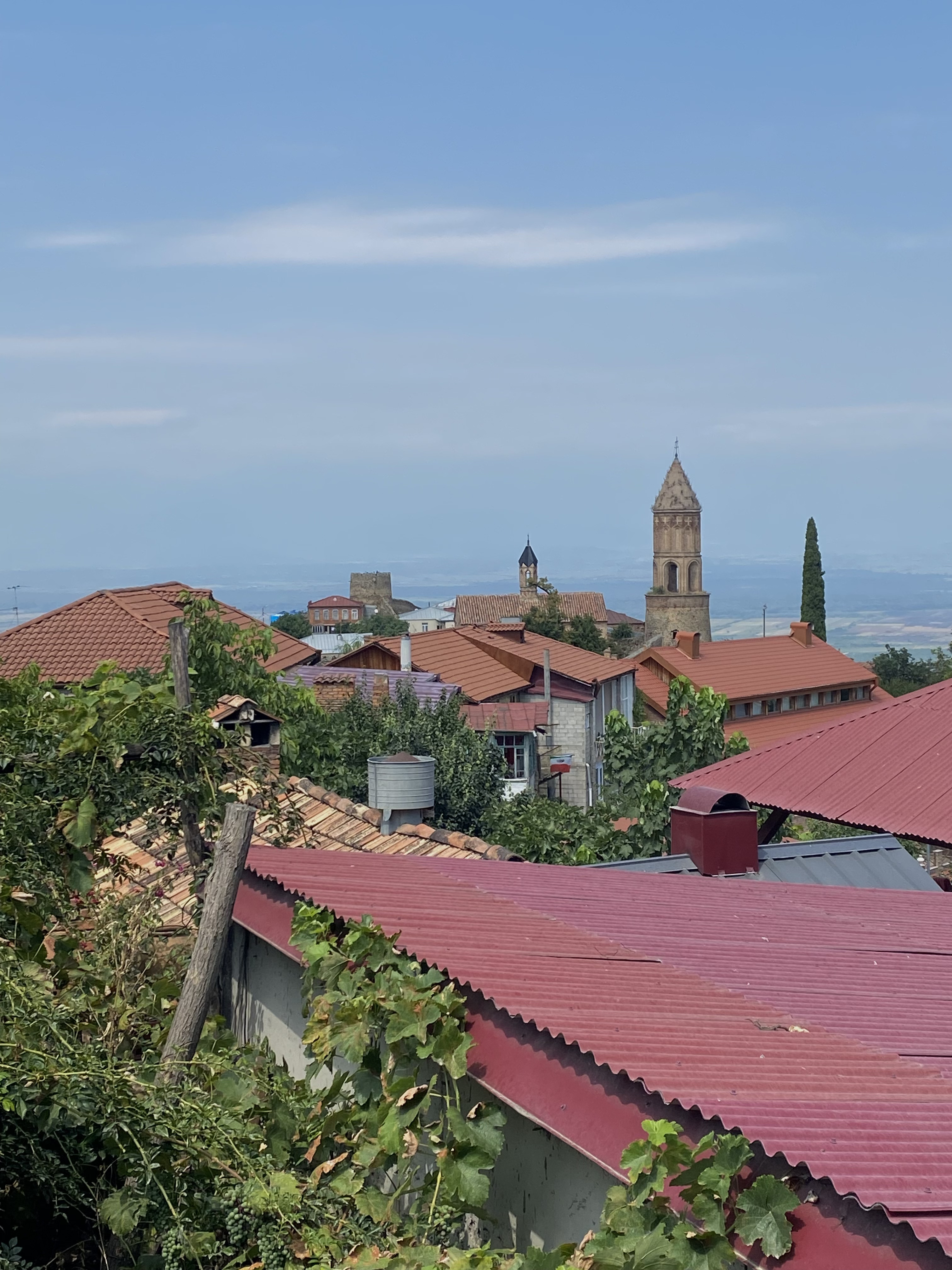 Комфорт тур в Грузию. Насыщенный маршрут, маленькая группа, хорошие отели (25/48)