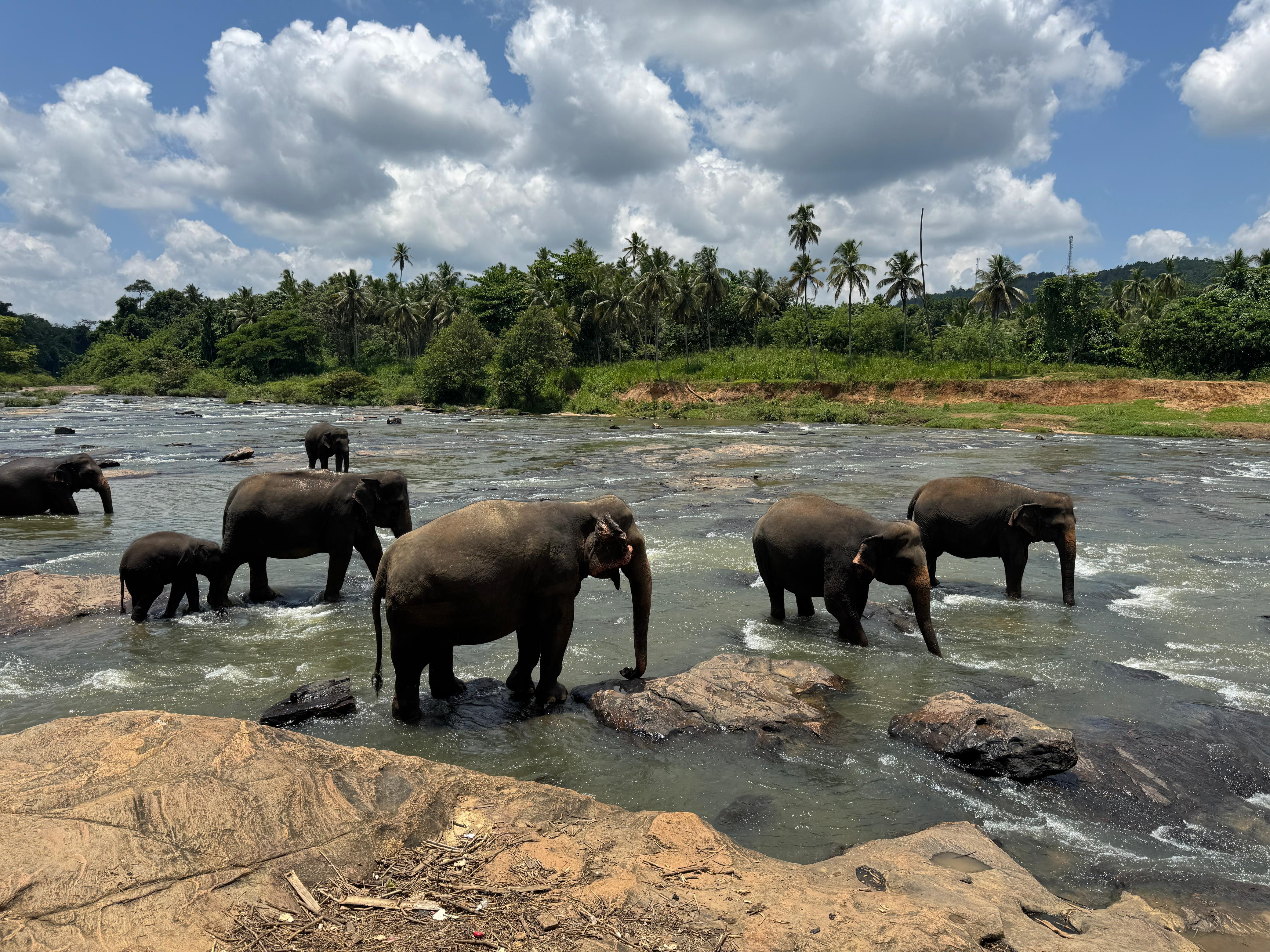 Тур 8 дней (5 активных и три дня на побережье) (13/65)
