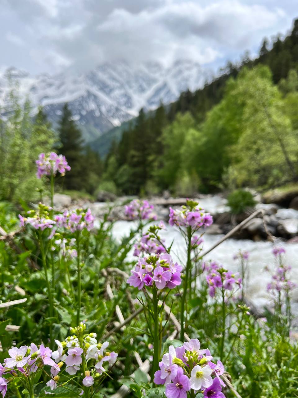 Комфортный тур в Приэльбрусье (6/28)