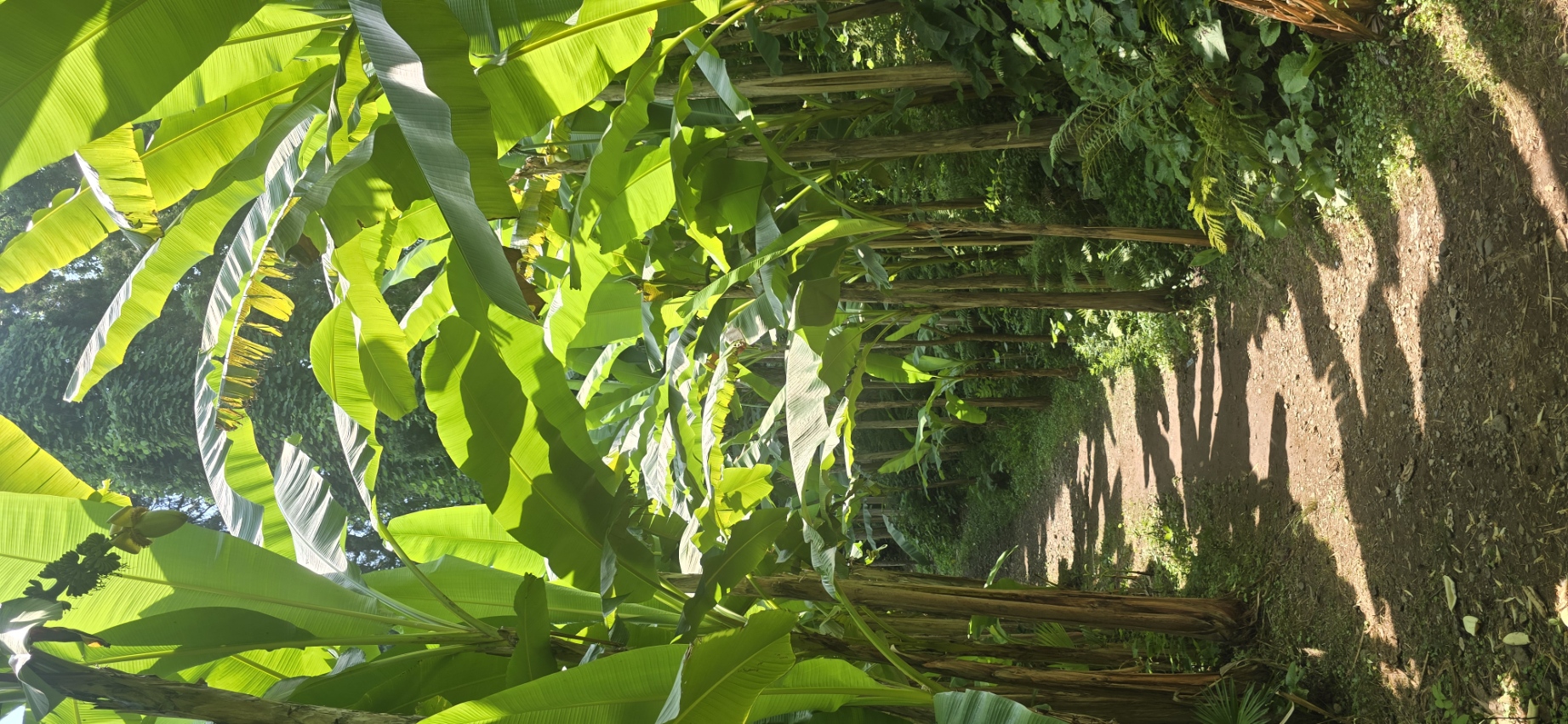 Сказка о Грузии - Весна, Лето, Осень (33/105)