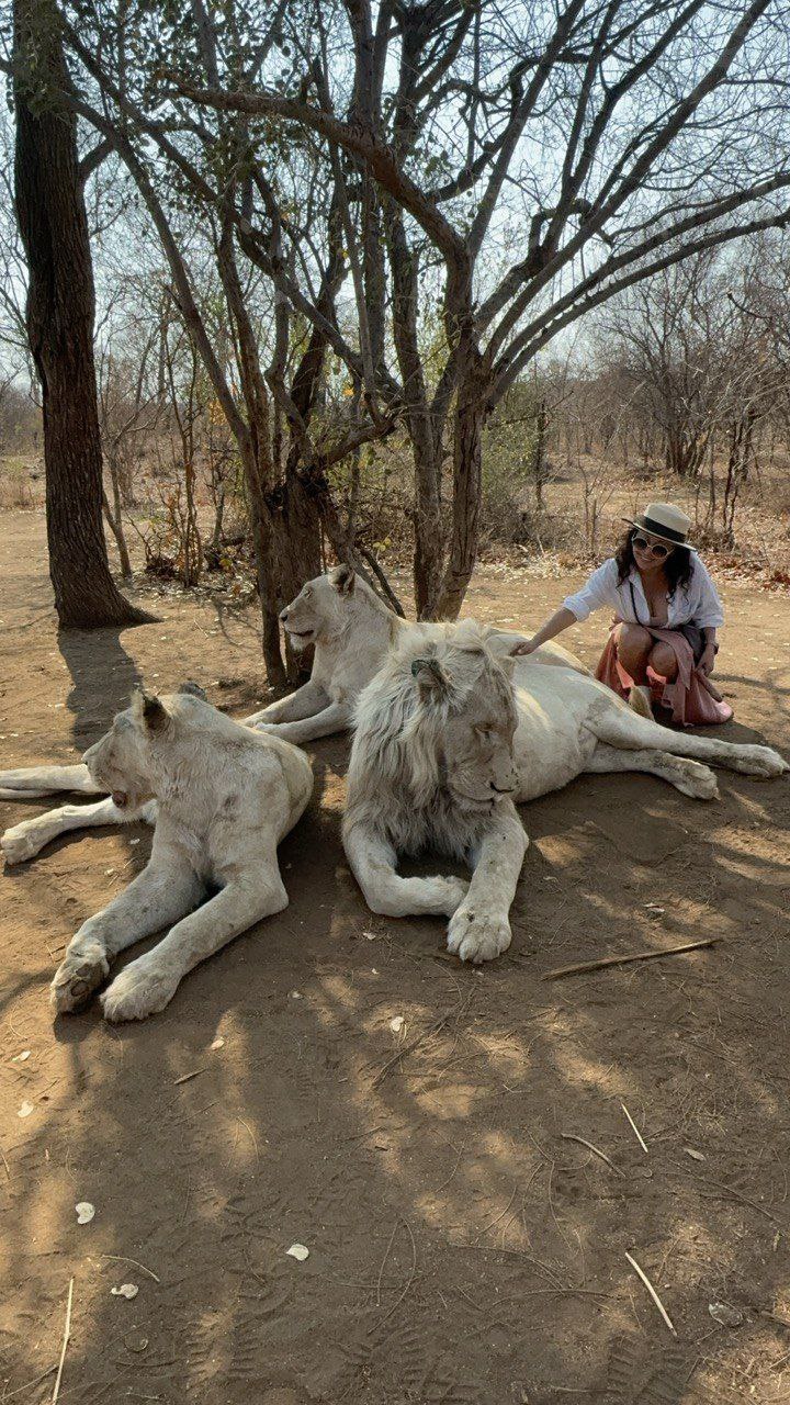 Юар. Водопад. Ботсвана (26/60)