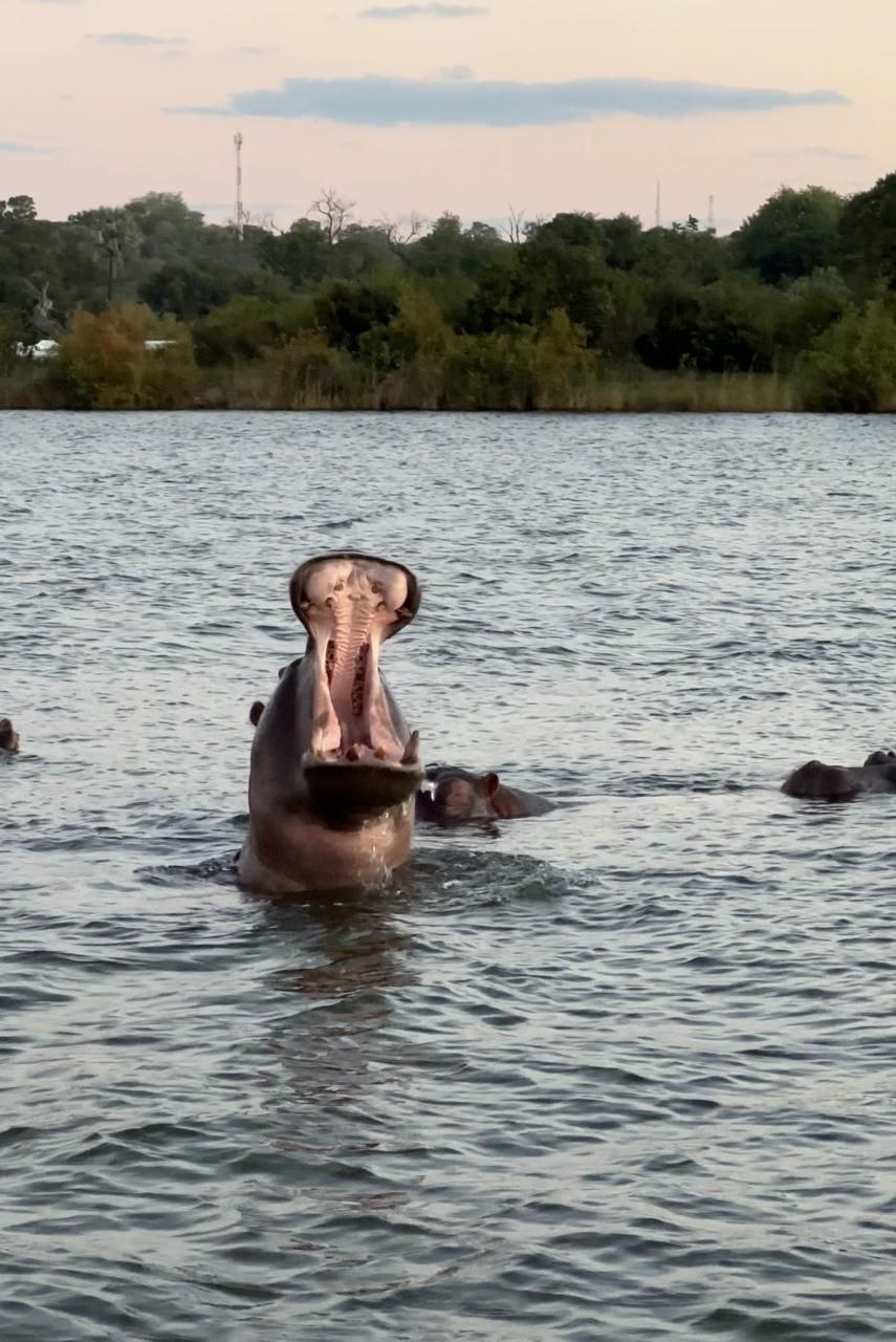 Юар. Водопад. Ботсвана (18/60)