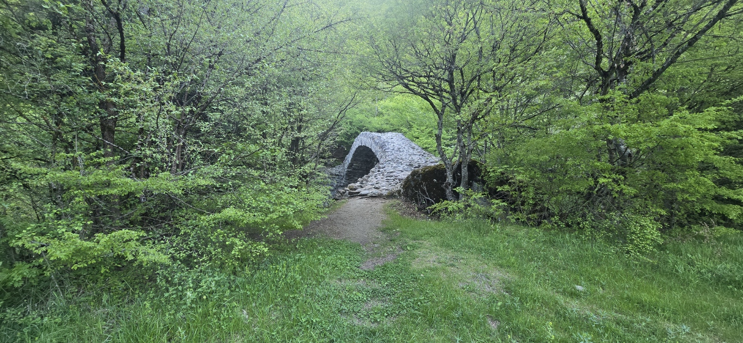 Гранд-путешествие по Грузии: 14 дней открытий с местными жителями, от гор до моря (42/57)