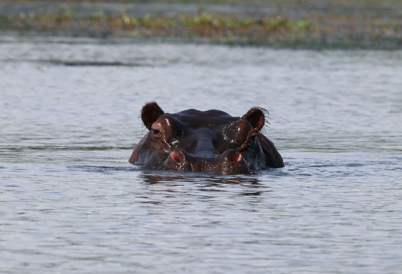 Юар. Водопад. Ботсвана (21/60)