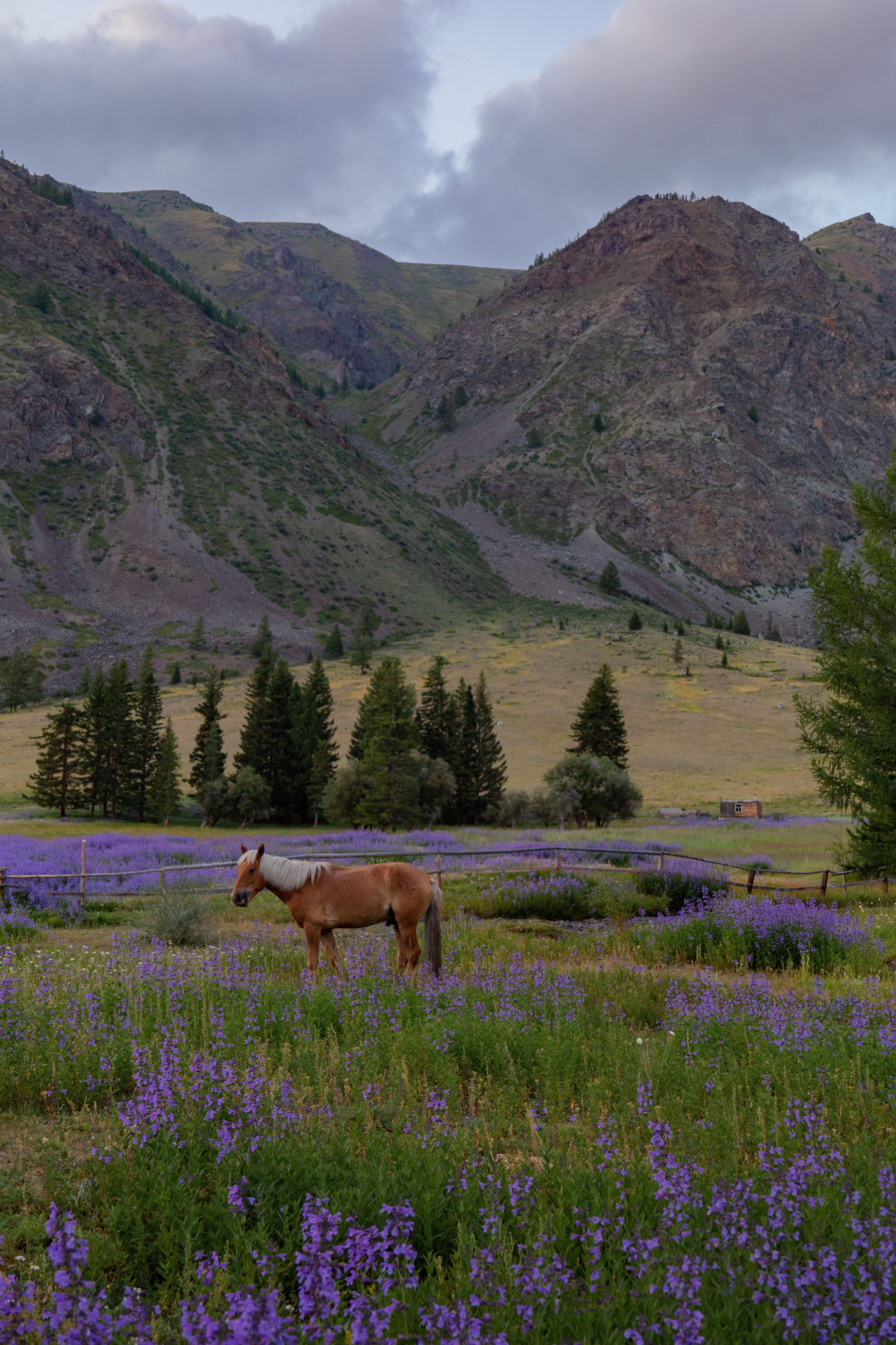 Кругосветка по Алтаю - фототур с профессиональным фотографом (39/62)