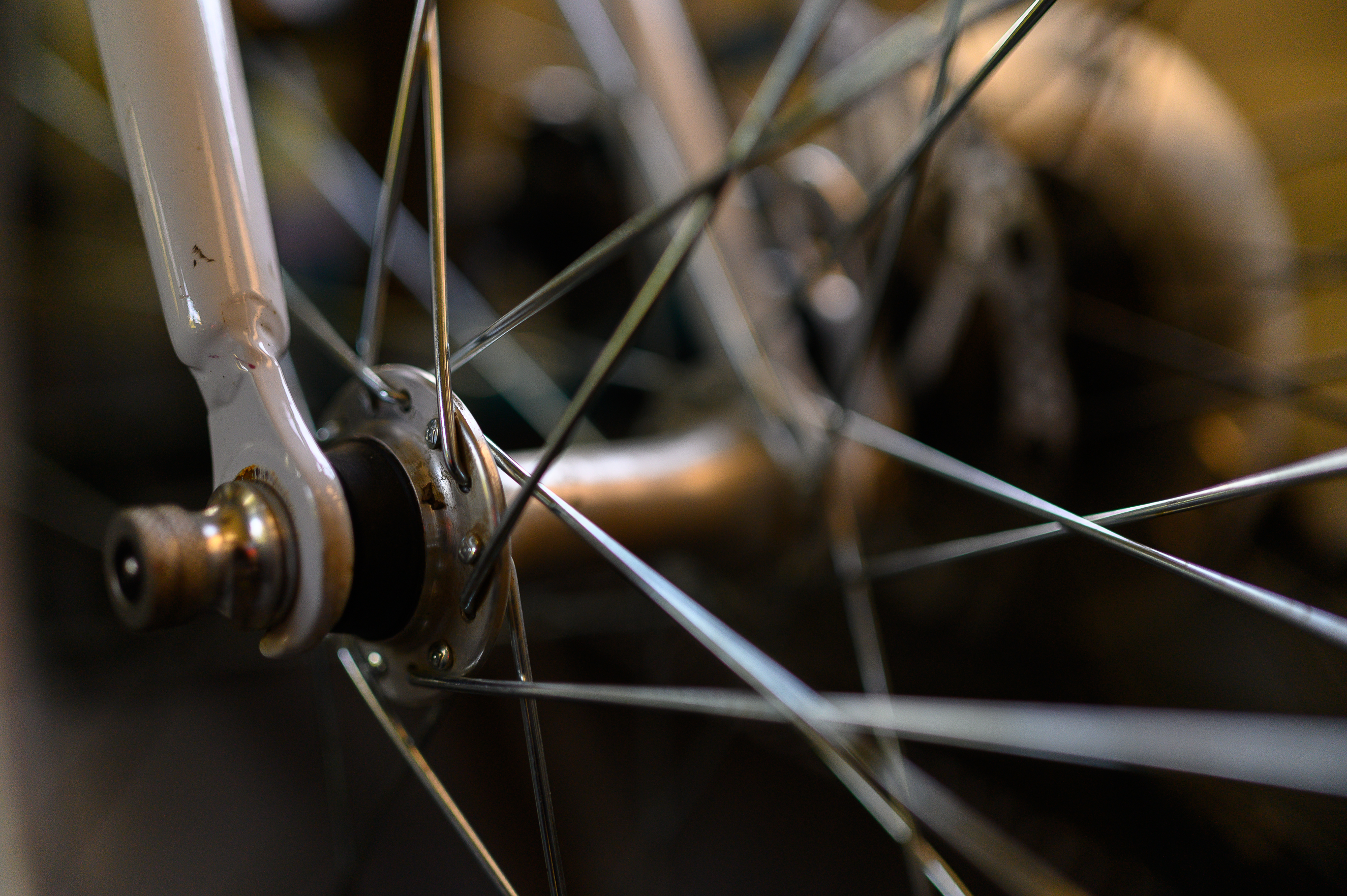 Перезагрузка в русском лесу: Велотур по Калужской области (13/17)