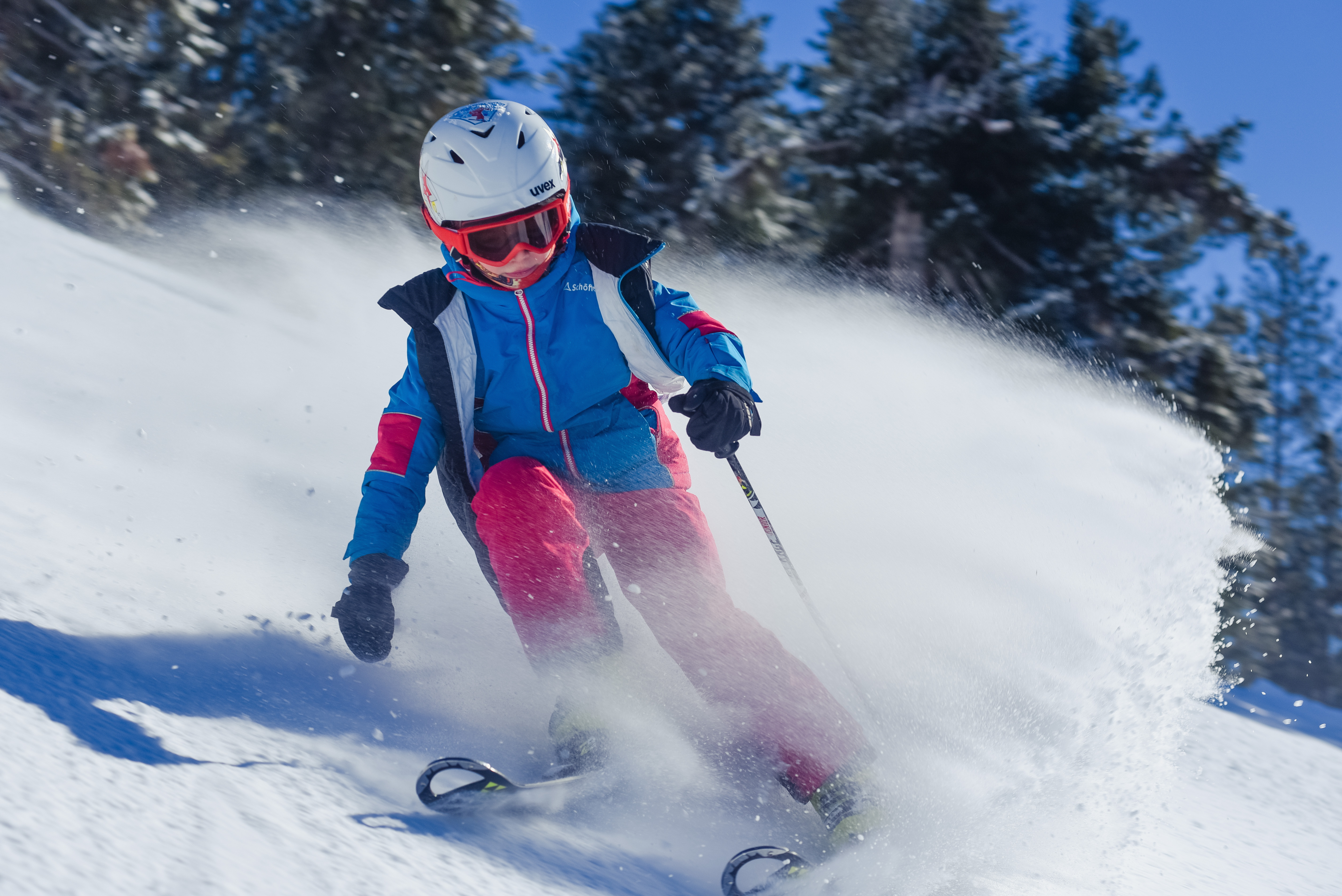 Новый год - Домбай (горнолыжный) (8/20)