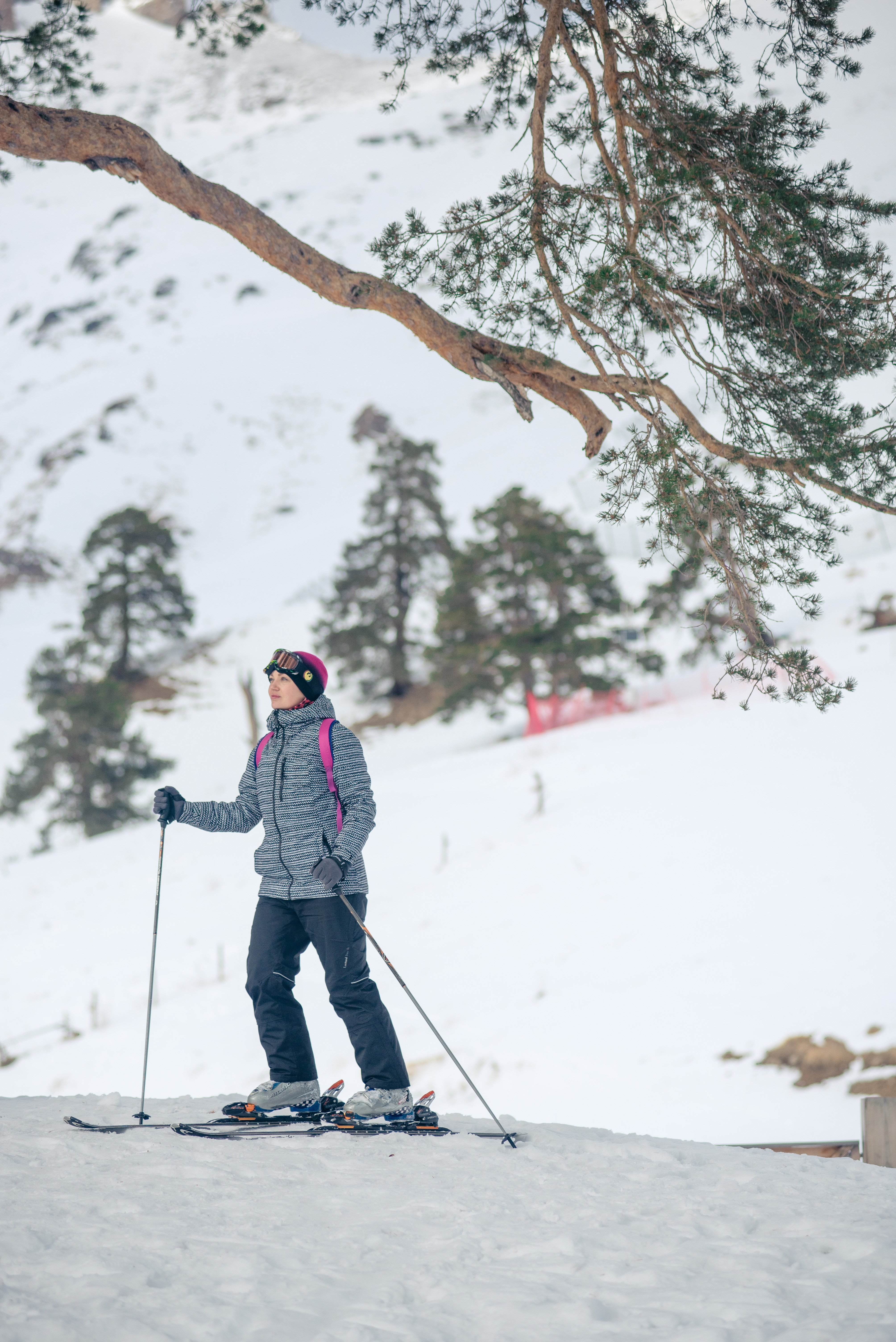 Новый год - Домбай (горнолыжный) (9/20)