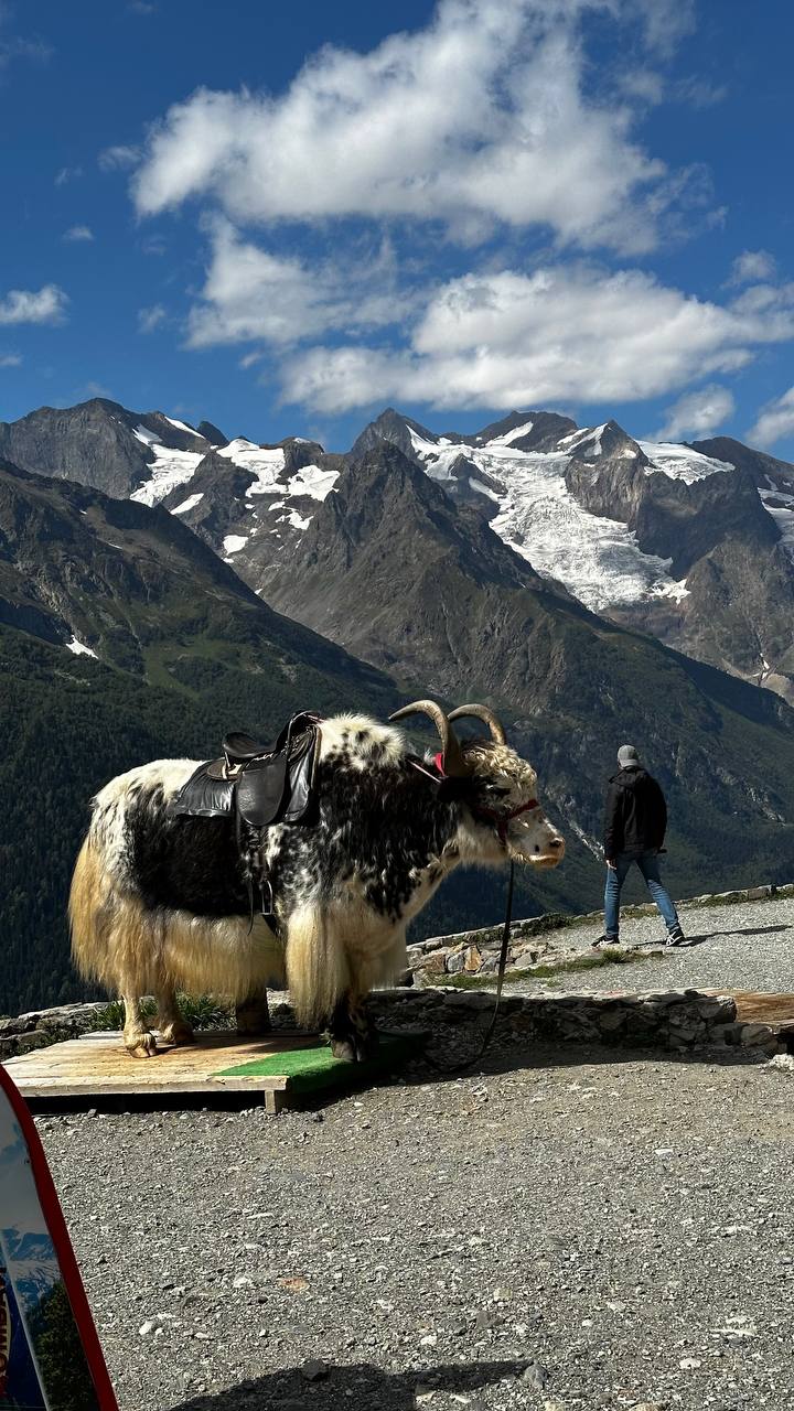 Домбай. Любовь с первого взгляда (14/25)