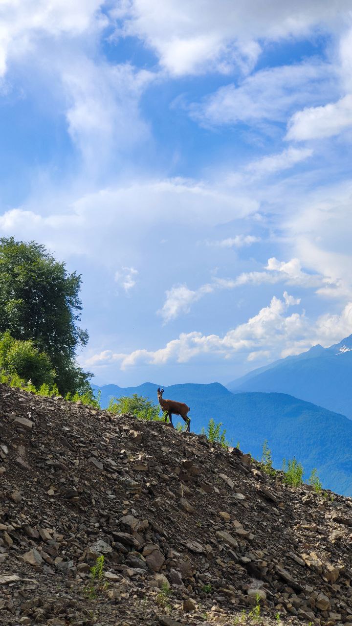 5 волшебных дней: Домбай Эльбрус Осетия (5/10)