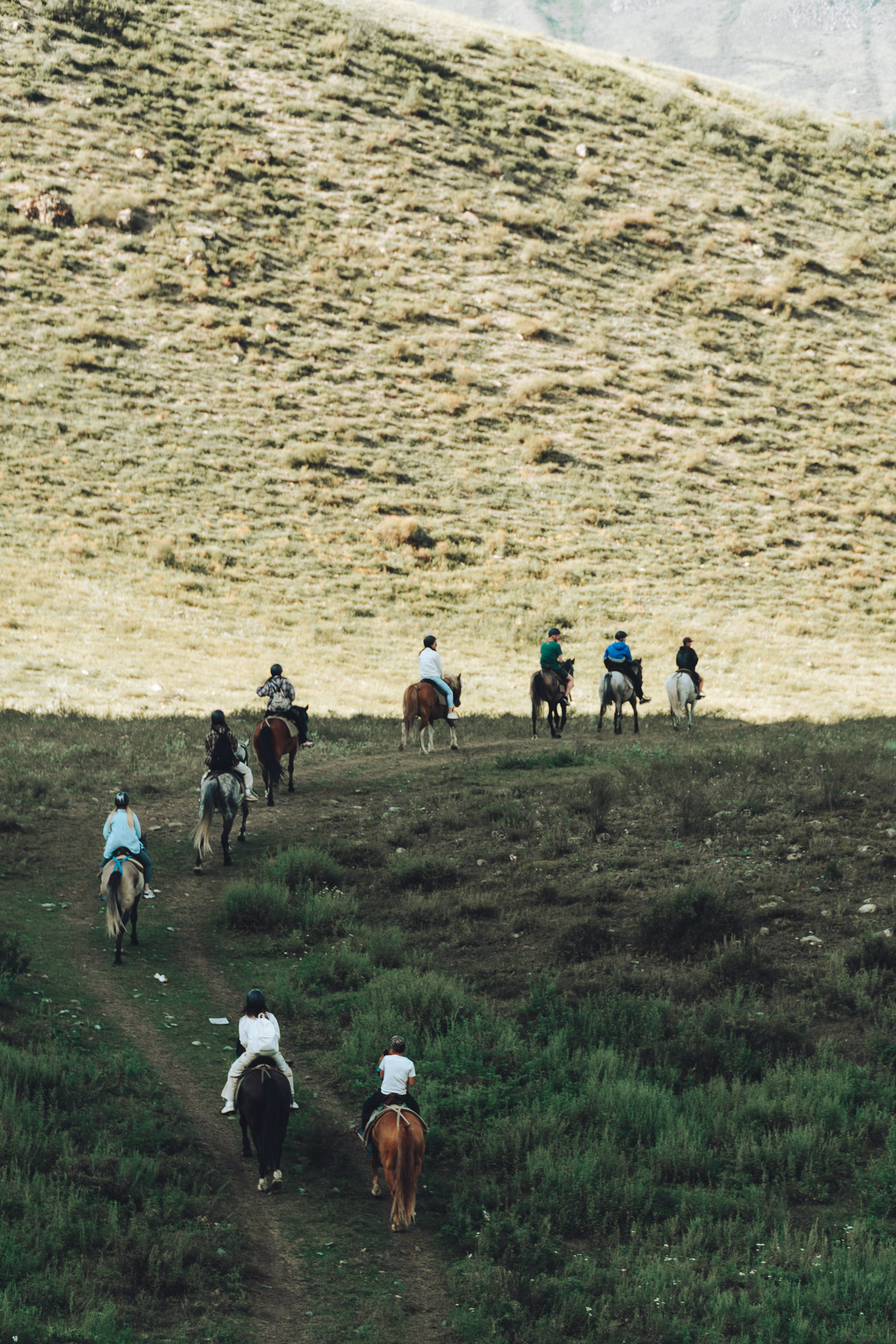 Тур Кольцевой Алтай + развлечения (34/46)