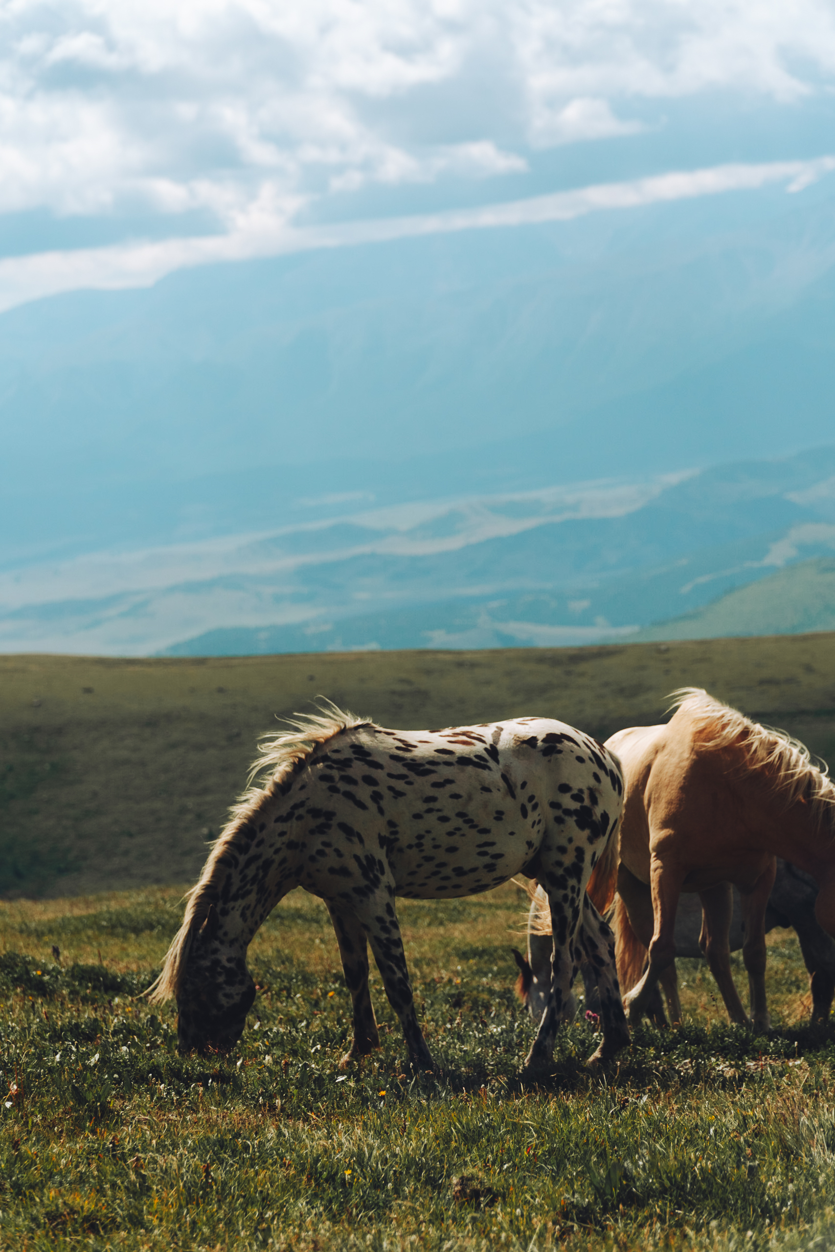 Тур Кольцевой Алтай + развлечения (15/46)