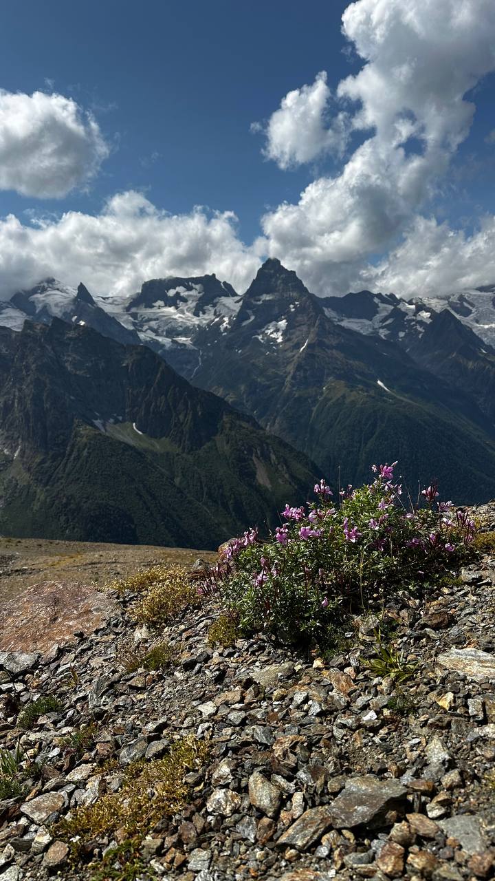Домбай. Любовь с первого взгляда (24/25)