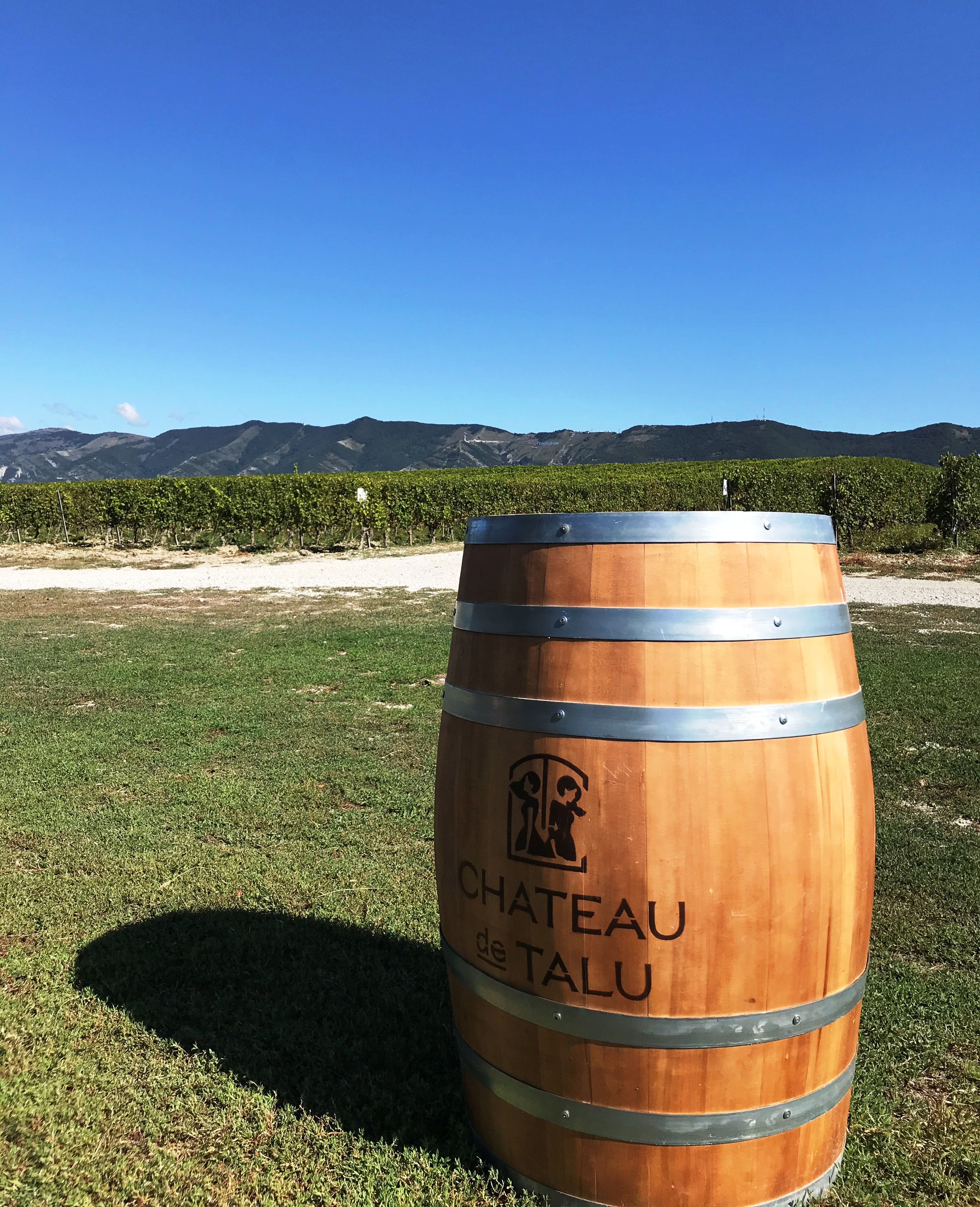 Русская Тоскана - винный тур (40/52)