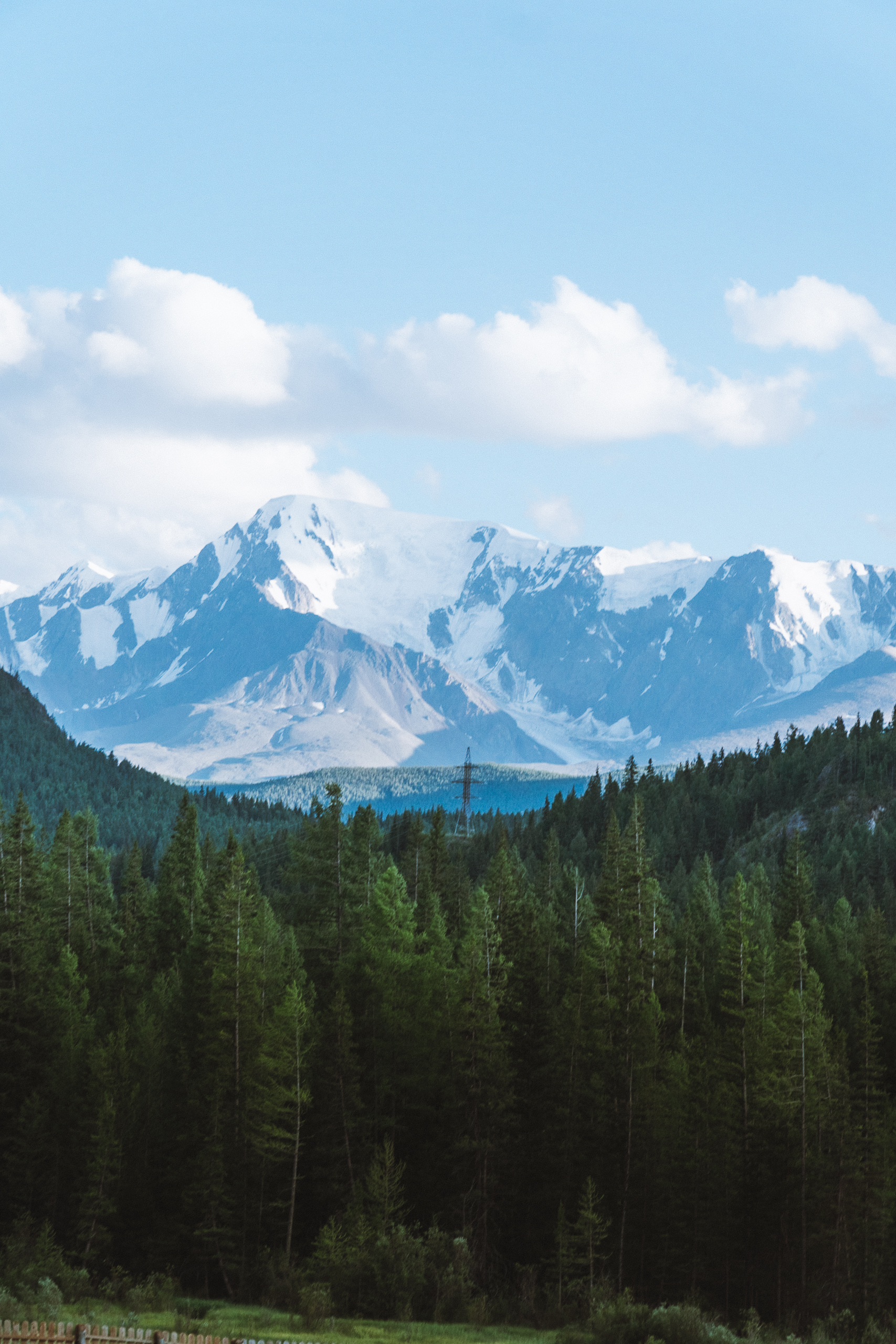 Тур Кольцевой Алтай + развлечения (13/46)