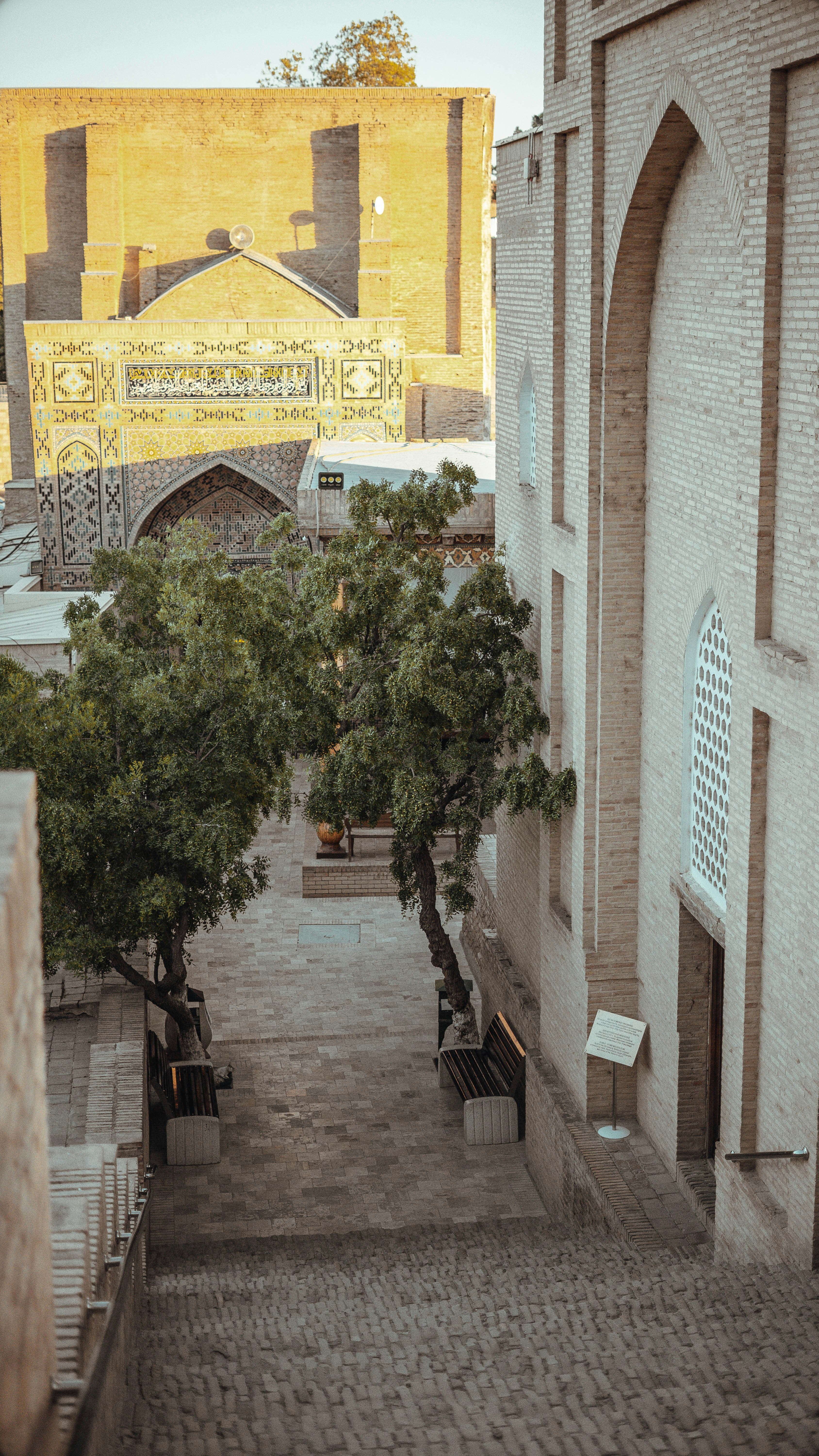 Узбекистан за 7 дней. Ташкент, Бухара, Самарканд (13/38)