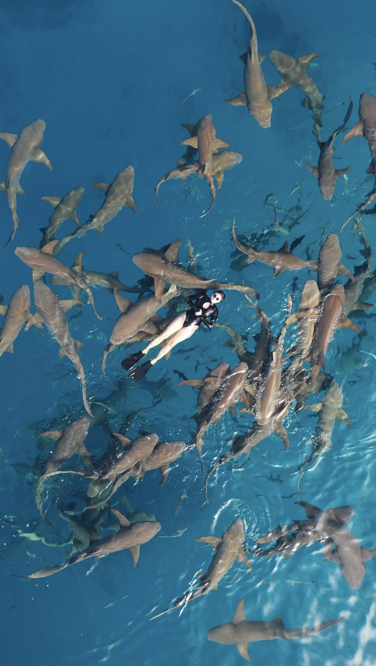 райские Мальдивы, 8 дней (5/111)