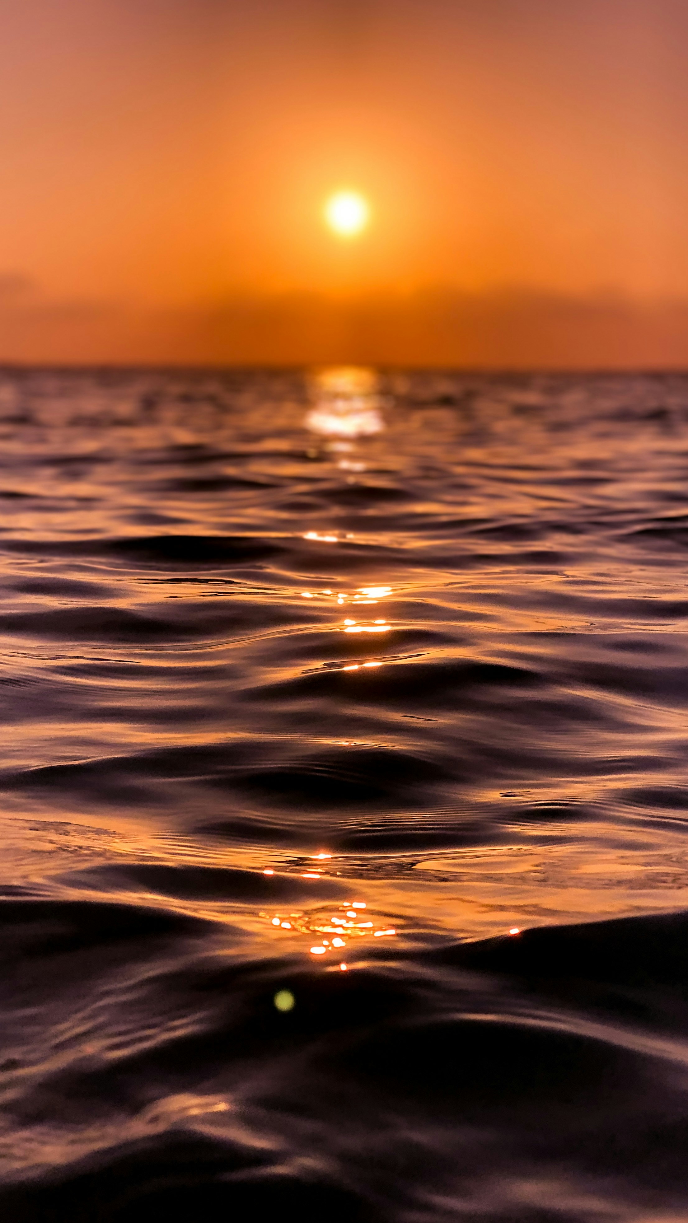 райские Мальдивы, 8 дней (14/111)