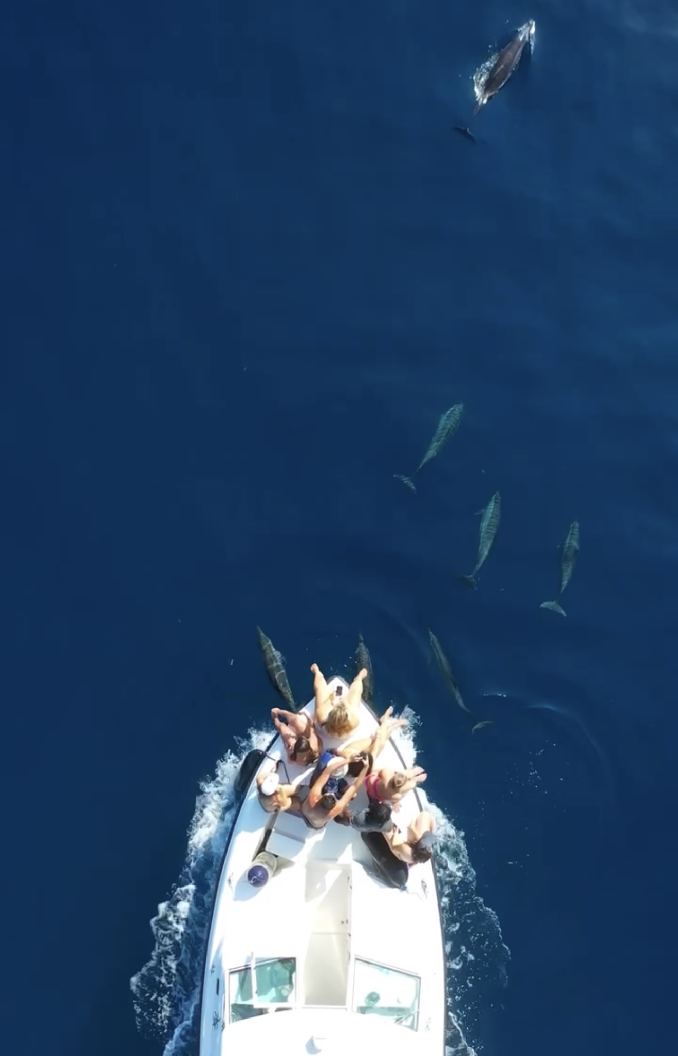 райские Мальдивы, 8 дней (7/111)