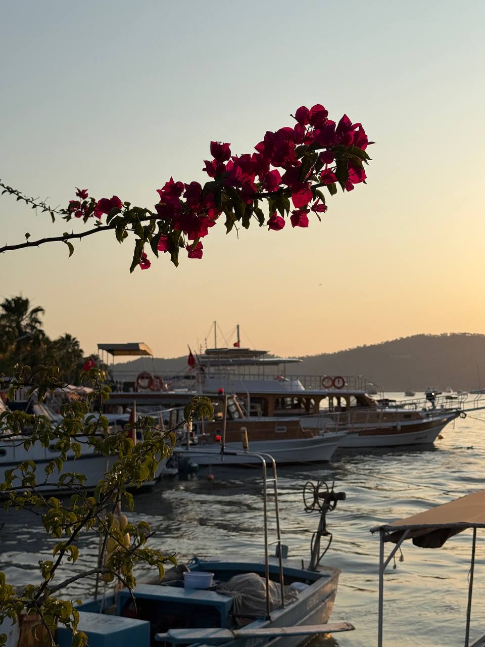 Пляжный тур в Турцию. Чиралы, Каш, Олюдениз, Фетхие - за 7 дней (43/74)