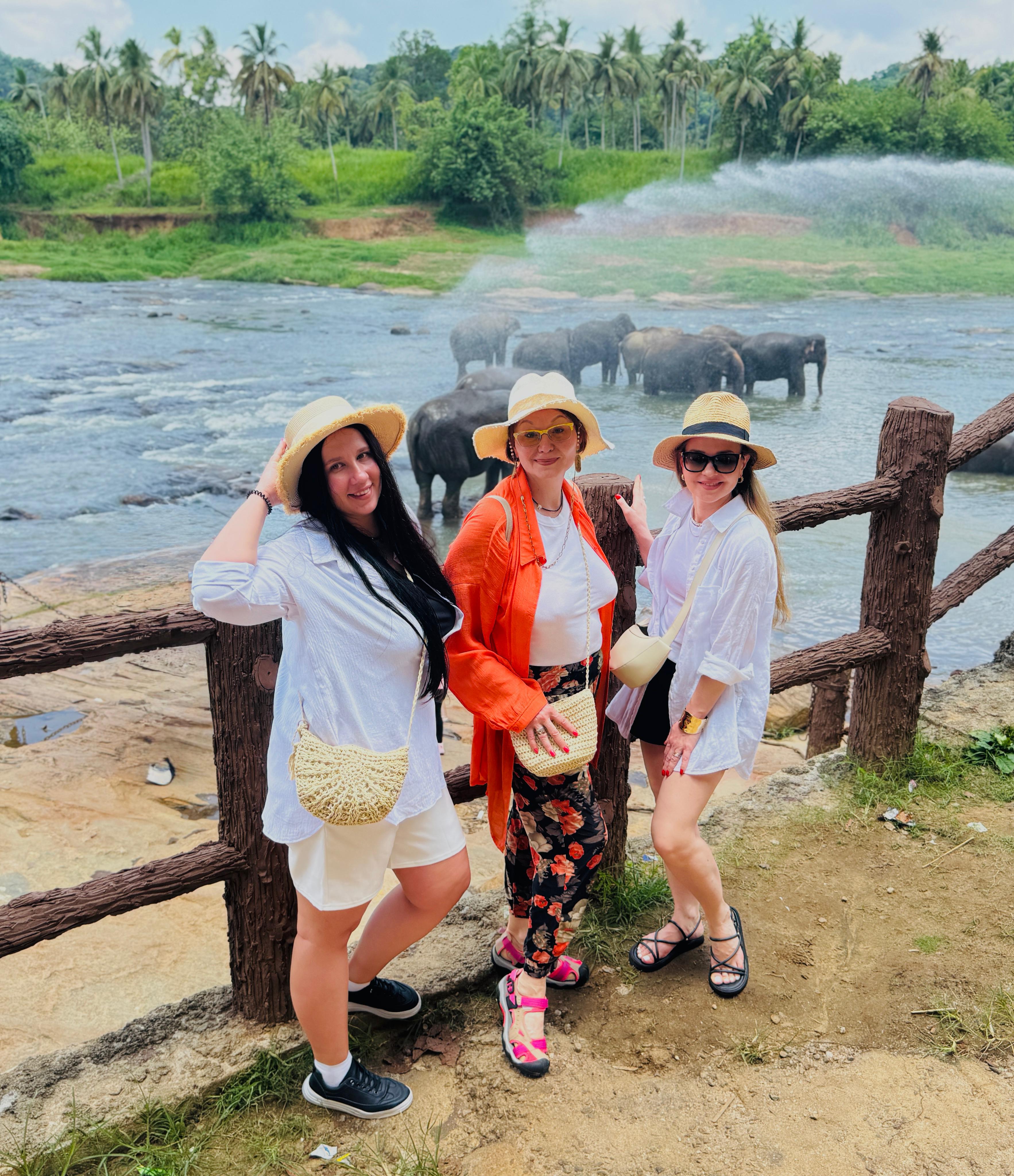 Шри-Ланка: Тур-Приключение Must-Visit (41/82)