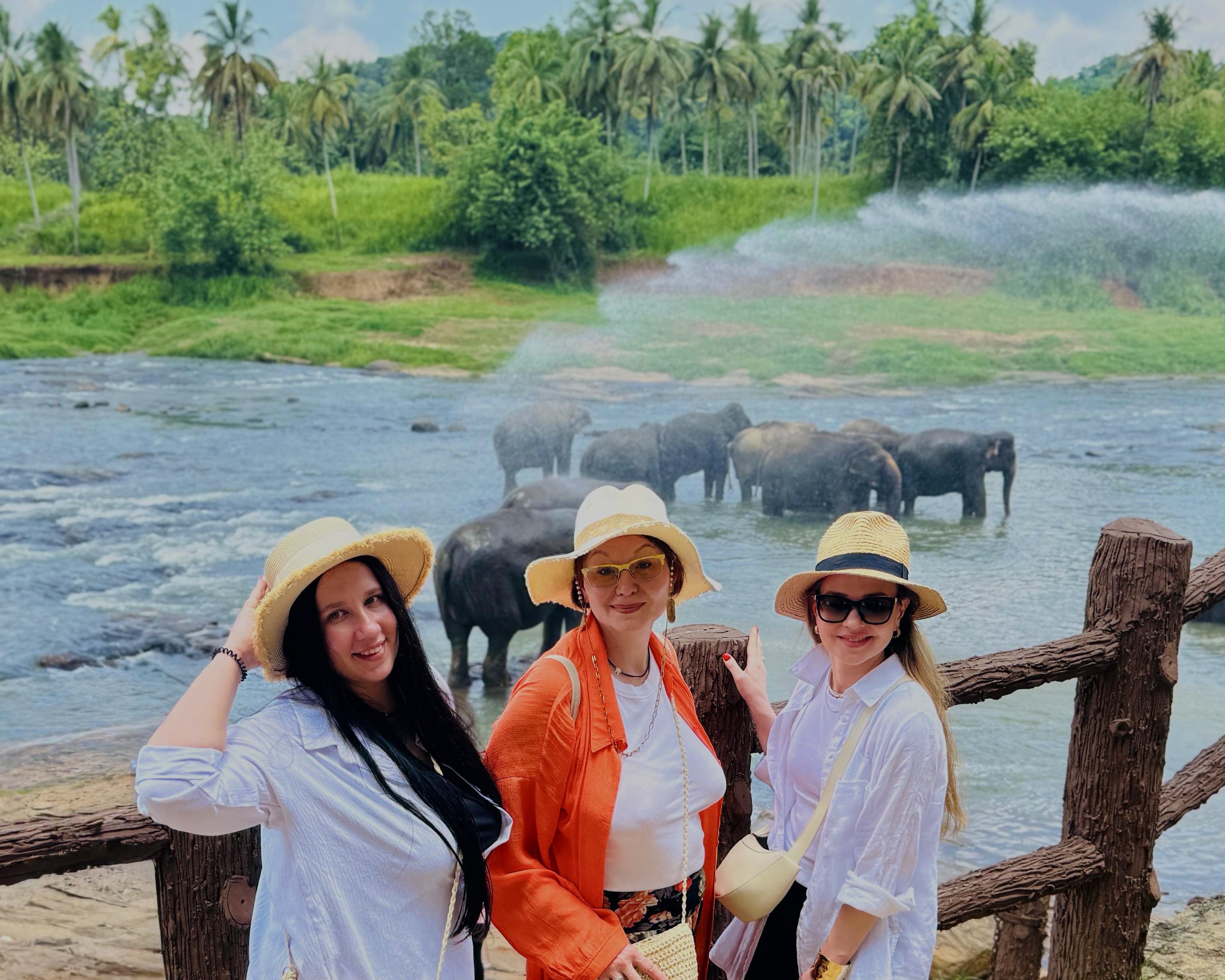 Активный Тур: Вся Шри-Ланка За 6 Дней