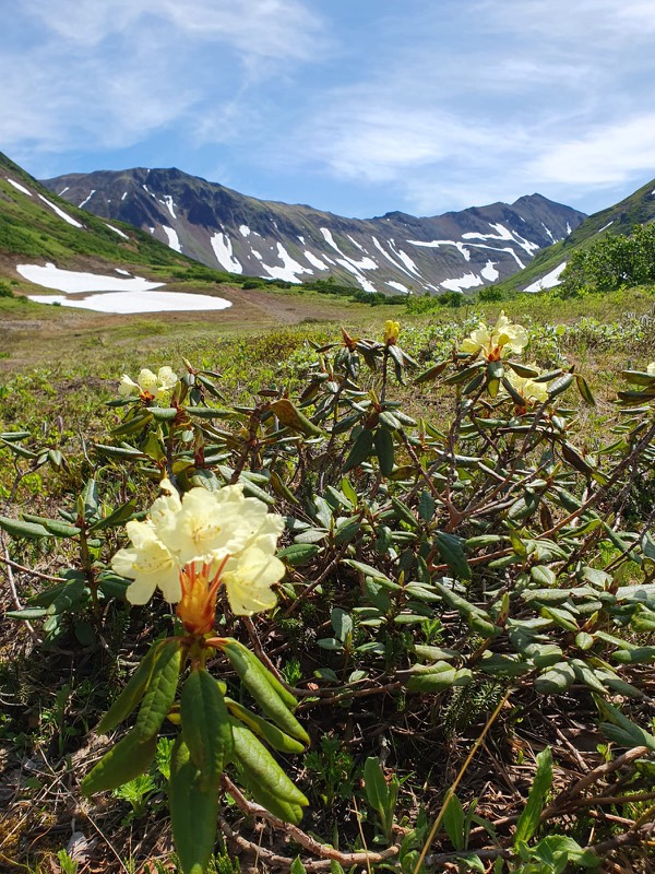 Доступная Камчатка! Два моря и океан, горы, вулканы, термальные горячие источники (7/24)