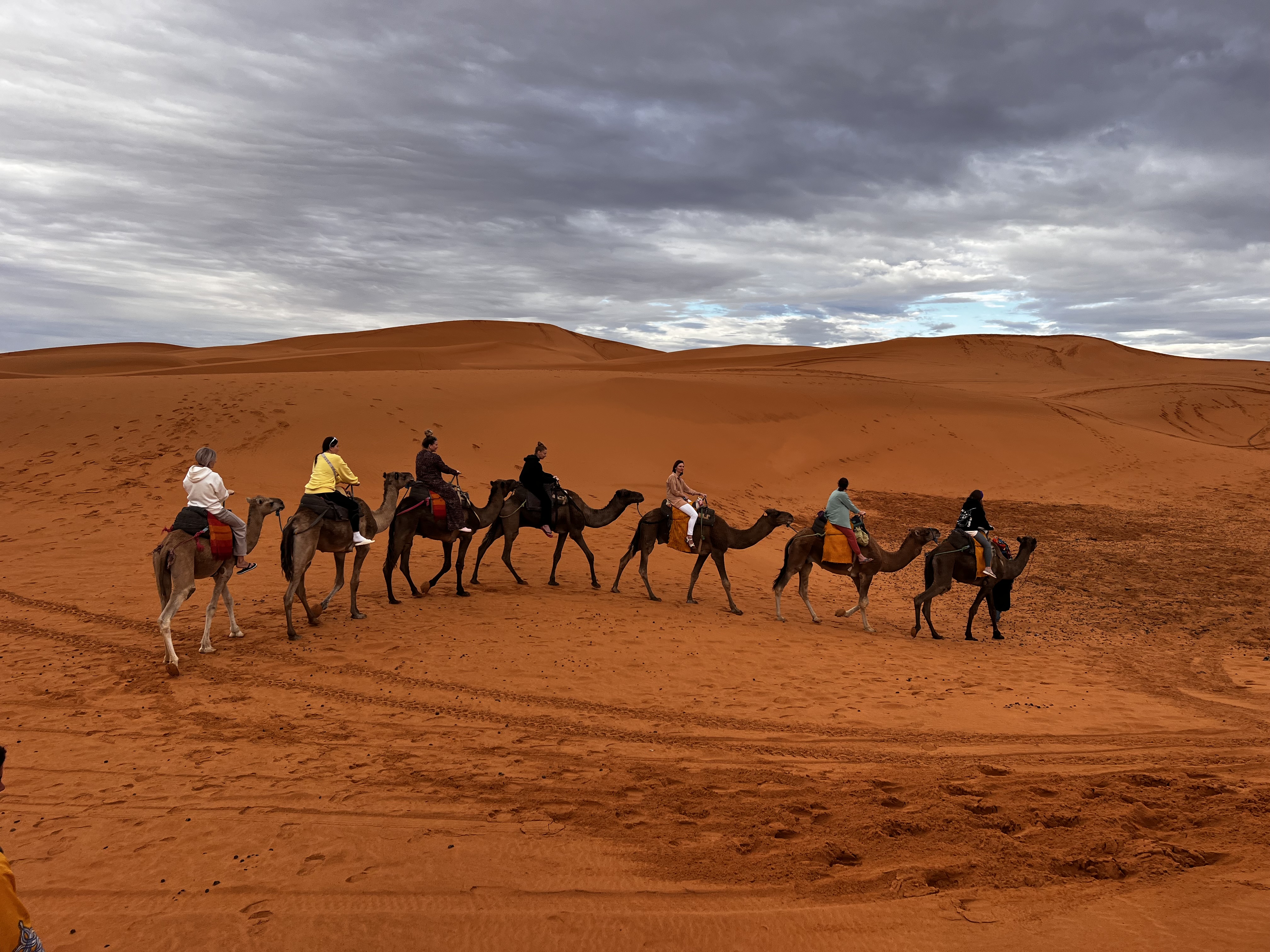 Кругосветка: От Сахары (2 ночи) до Атлантики (2 ночи) (43/146)