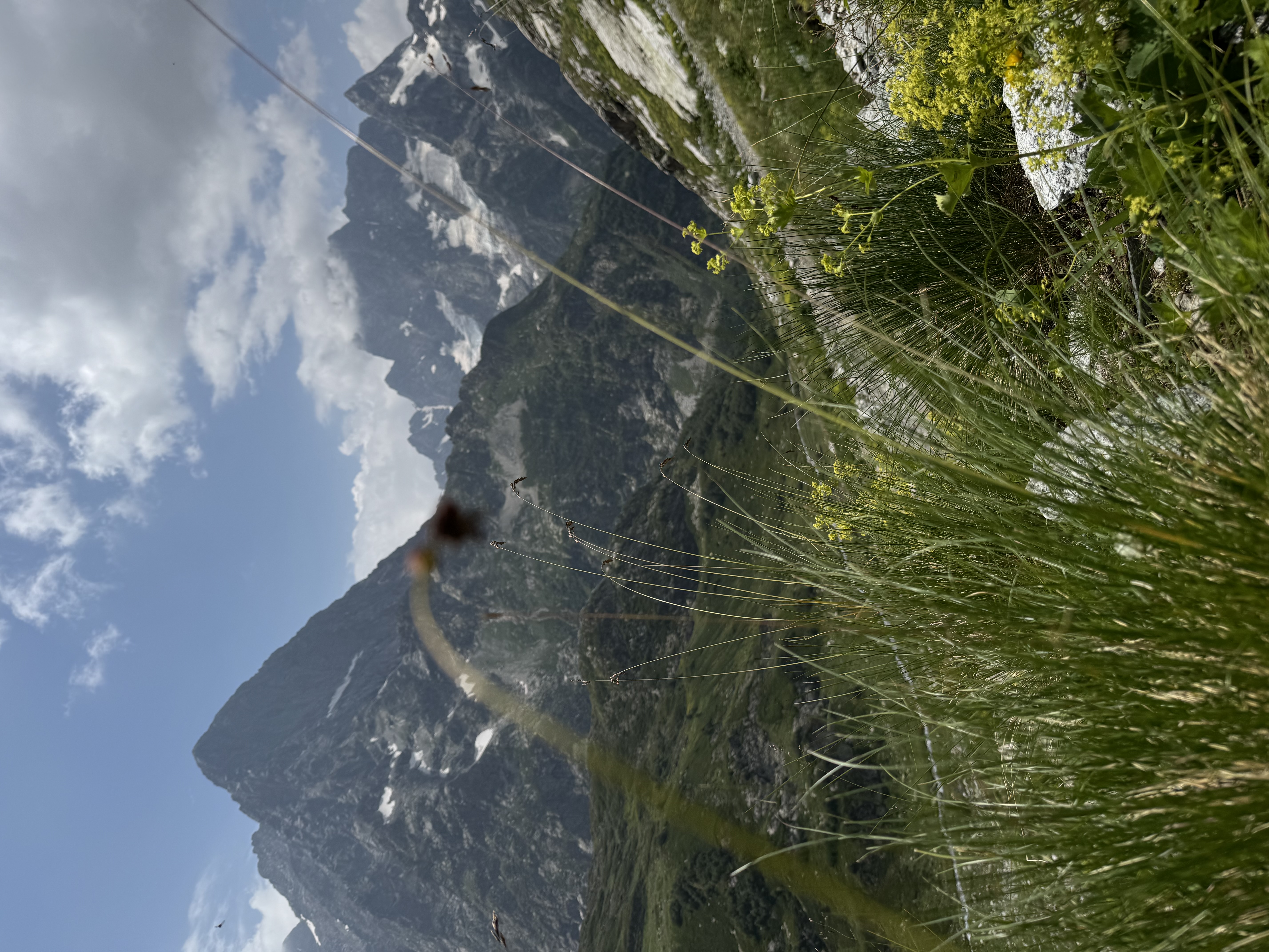 Тур в Домбай с комфортом. Осенние краски (5/36)