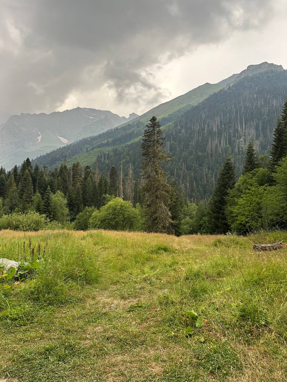 Настроение - Горы! Активный тур по Карачаево-Черкесии! (93/116)