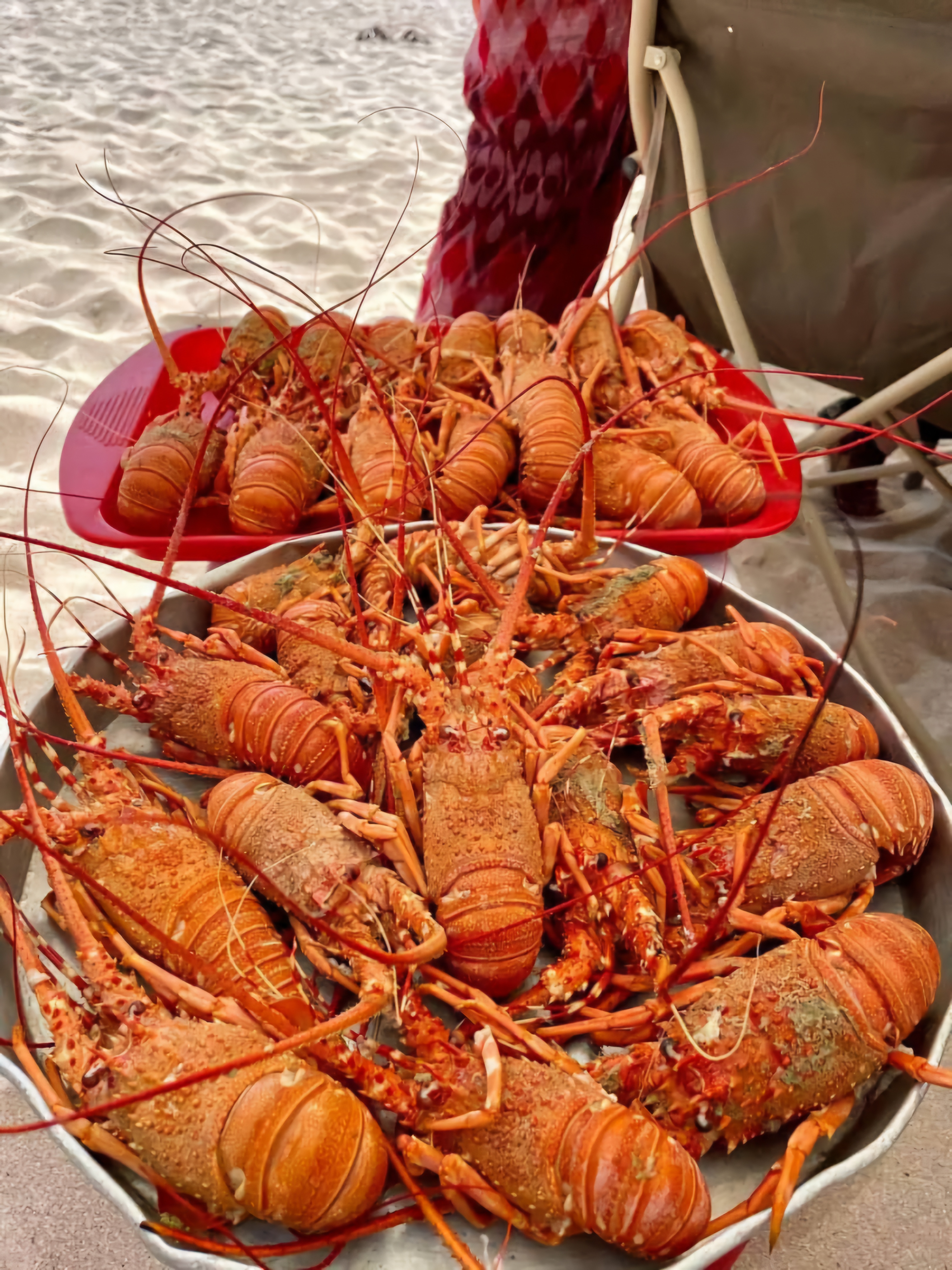 Уголок рая вдали от суеты  7 дн.Джидда 28.04-05.05 (32/65)