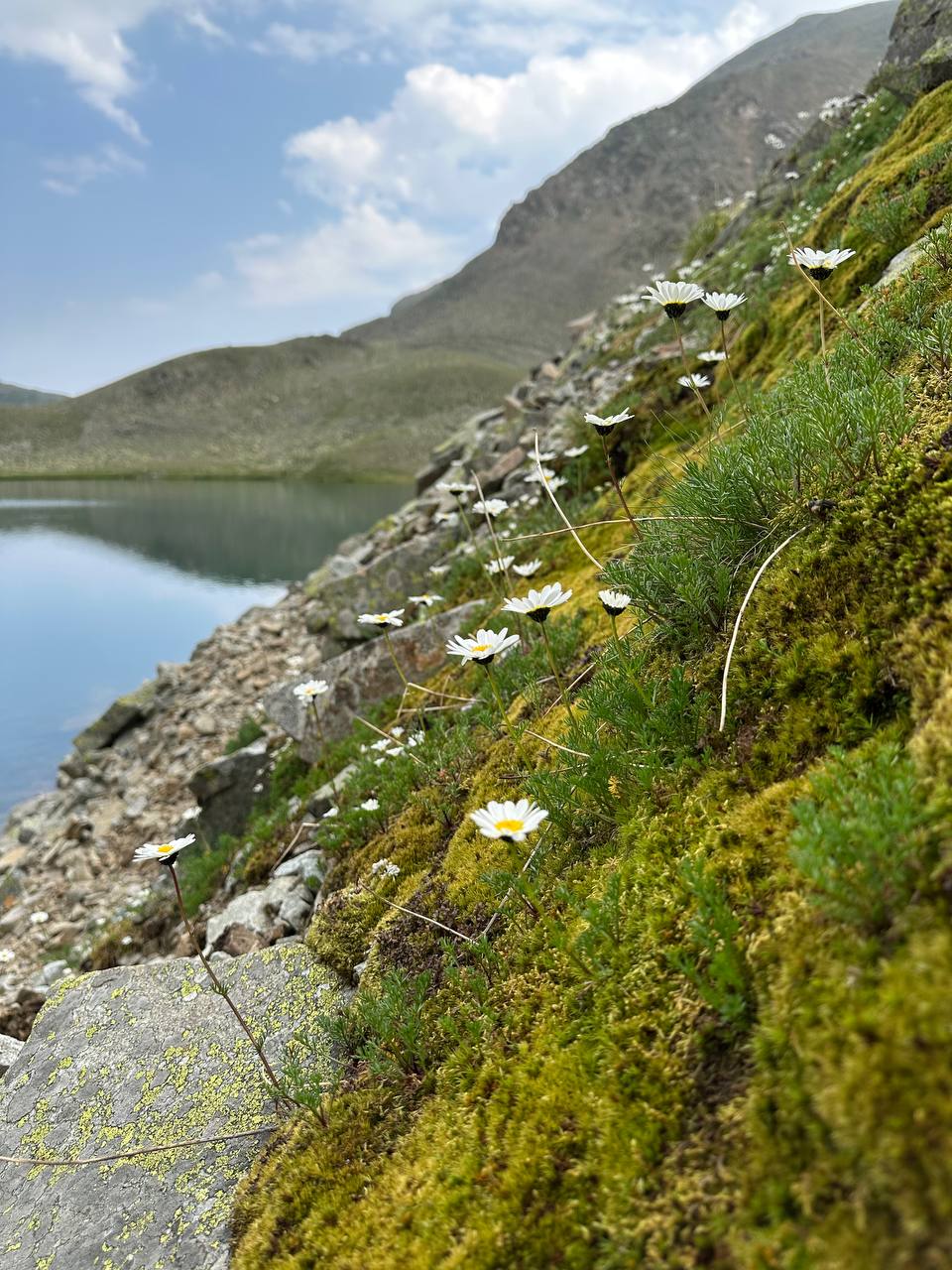 Трип по Карачаево-Черкесии! Домбай+Архыз с комфортом в мини-группе! (56/74)