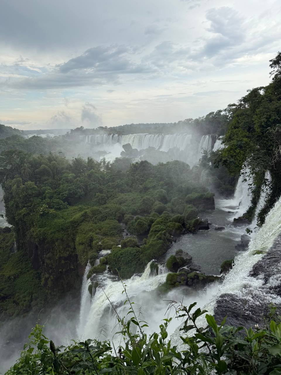 Австралия — страна свободы и приключений. 12 дней незабываемого путешествия (19/58)