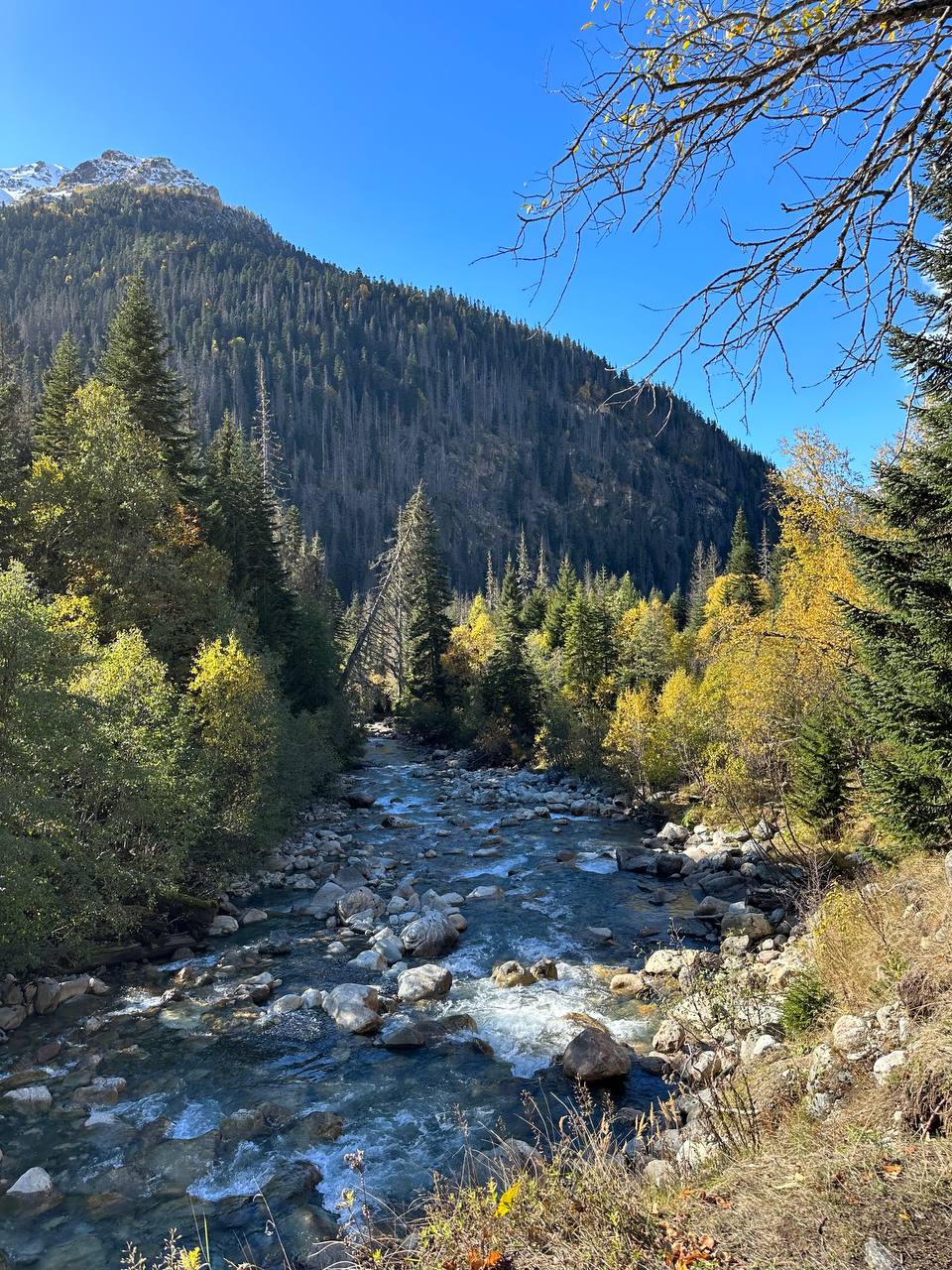 Панорамный Кавказ. Северная Осетия, Архыз, Джилы Су, Чегем и парапланы (12/32)