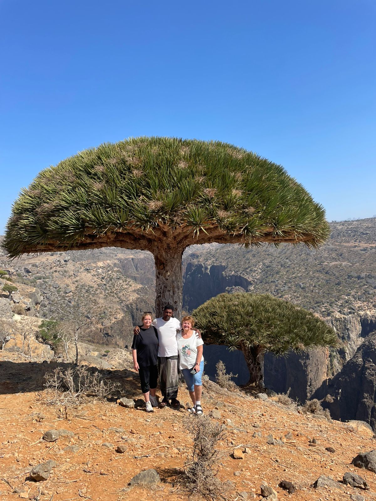 Уголок рая вдали от суеты  7 дн.Джидда 28.04-05.05 (19/65)