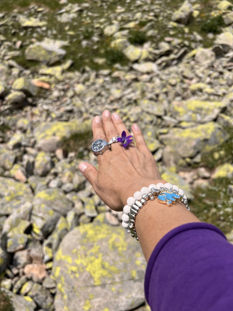 Настроение - Горы! Активный тур по Карачаево-Черкесии! (81/116)