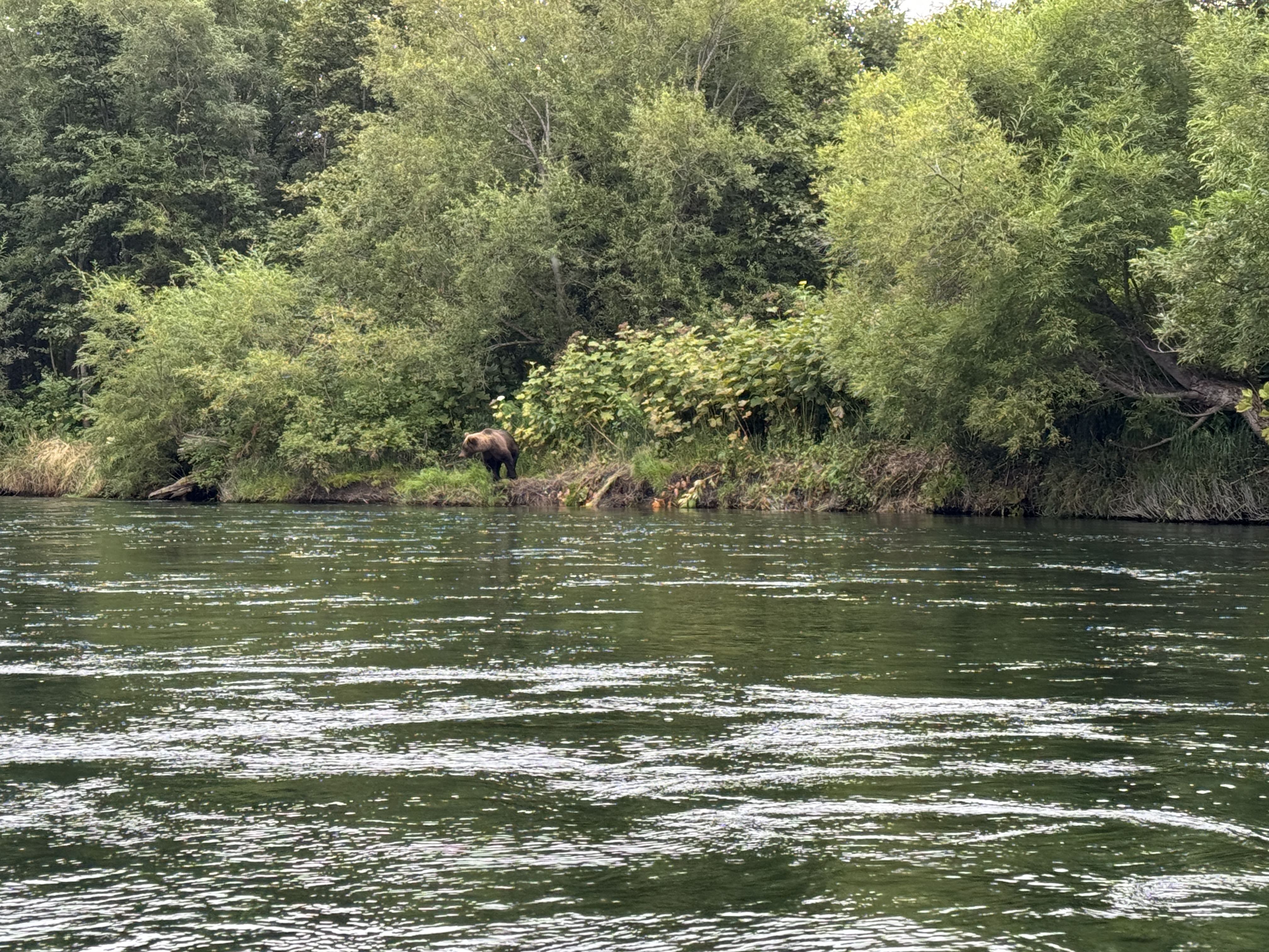Камчатка: твое яркое знакомство с комфортом - Все включено (10/64)