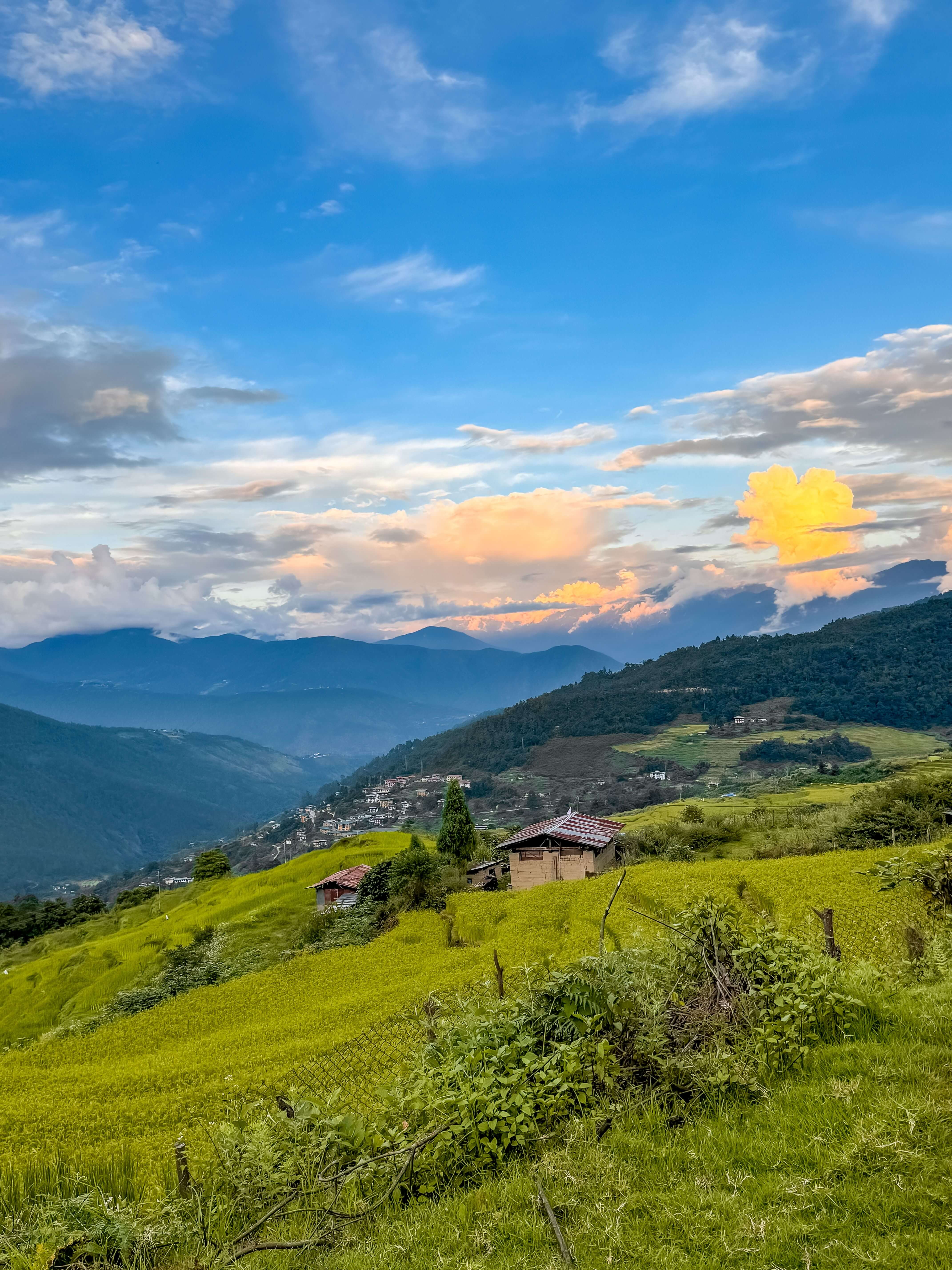 Непал+Бутан. Две страны счастья. Отели 4-5 (18/42)