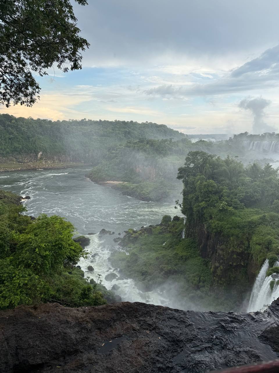 Австралия — страна свободы и приключений. 12 дней незабываемого путешествия (18/58)
