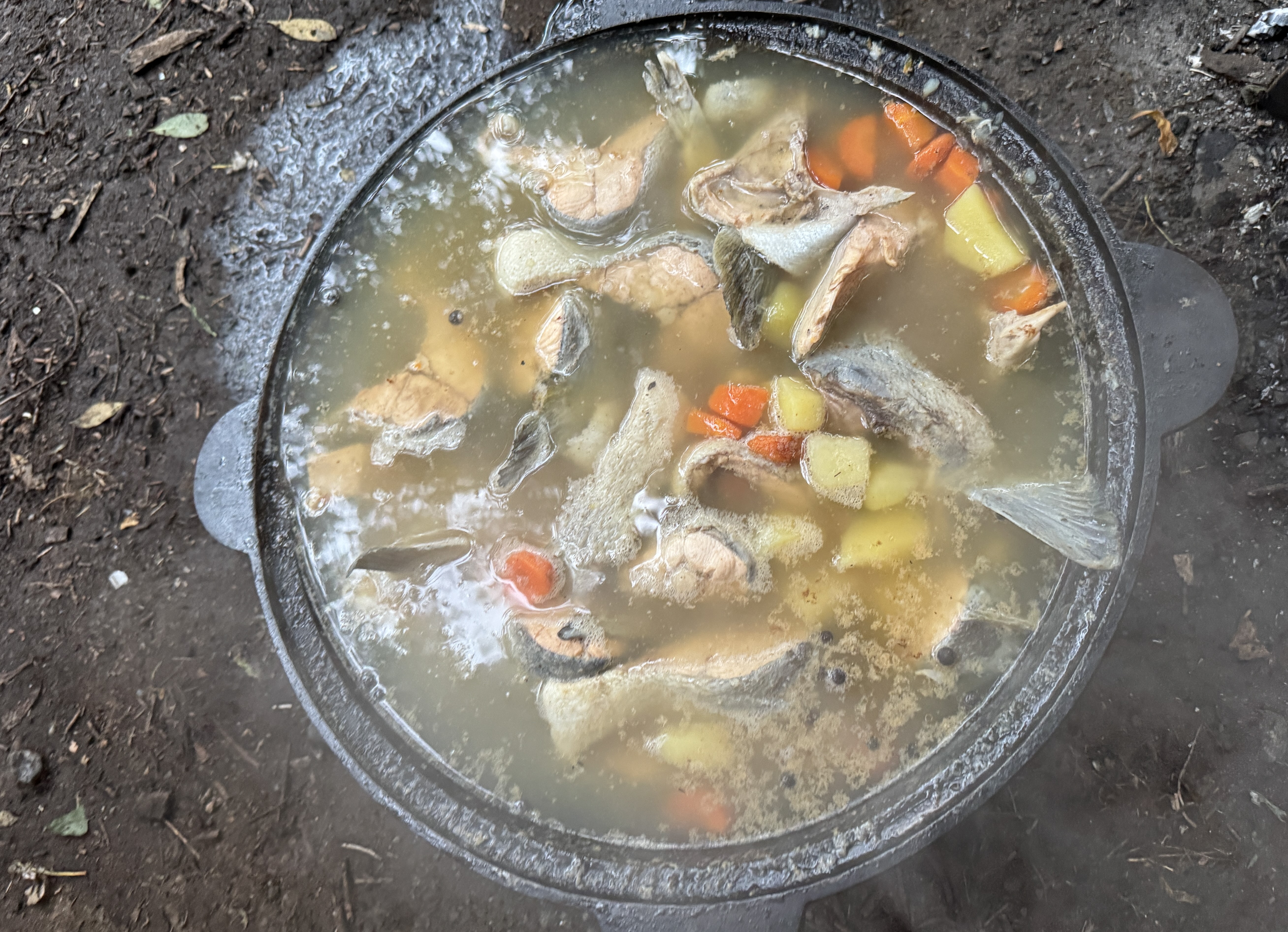 Камчатка: твое яркое знакомство с комфортом - Все включено (11/64)