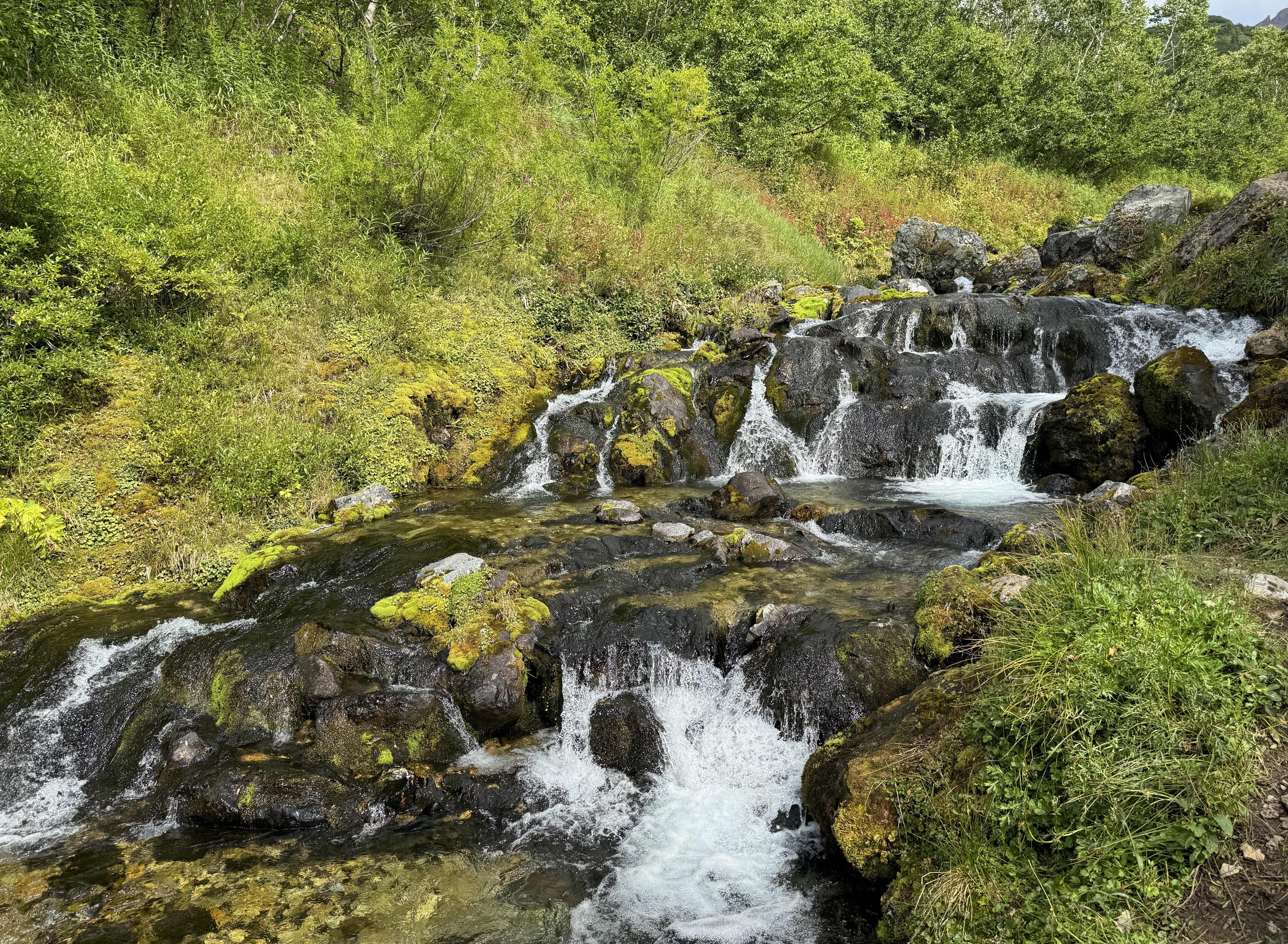 Камчатка: твое яркое знакомство с комфортом - Все включено (24/64)
