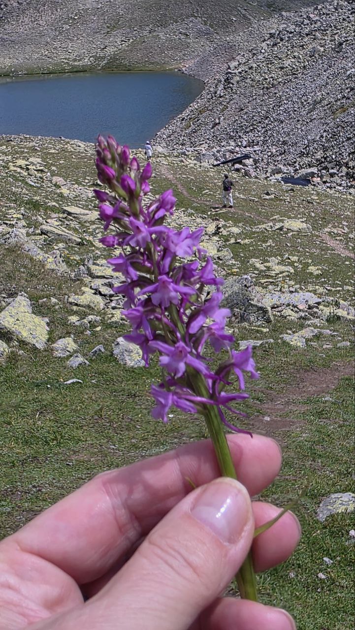 Трип по Карачаево-Черкесии! Домбай+Архыз с комфортом в мини-группе! (55/74)