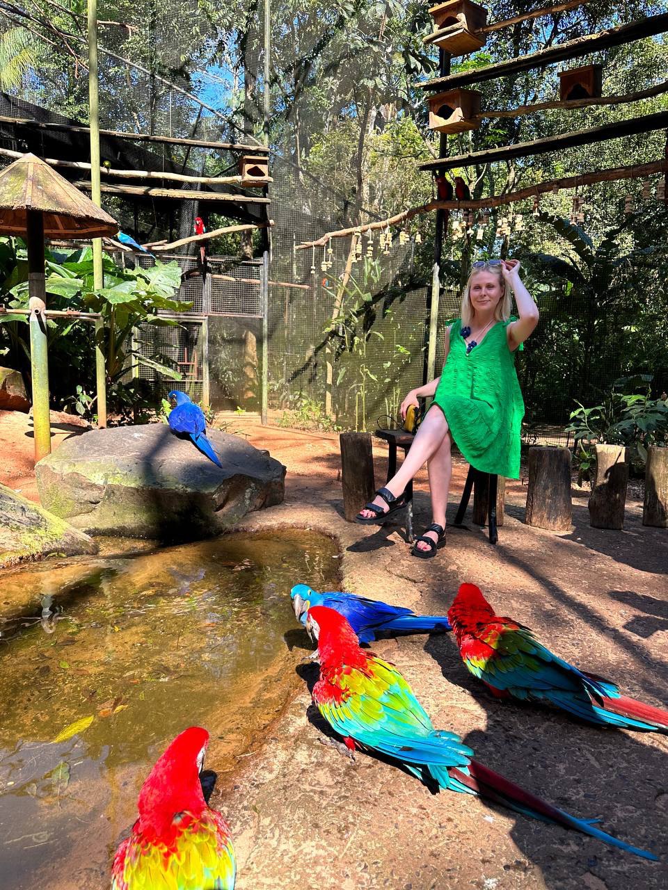 Бразилия: Рио, песчаные дюны, водопады Игуасу за 11 дней (33/72)