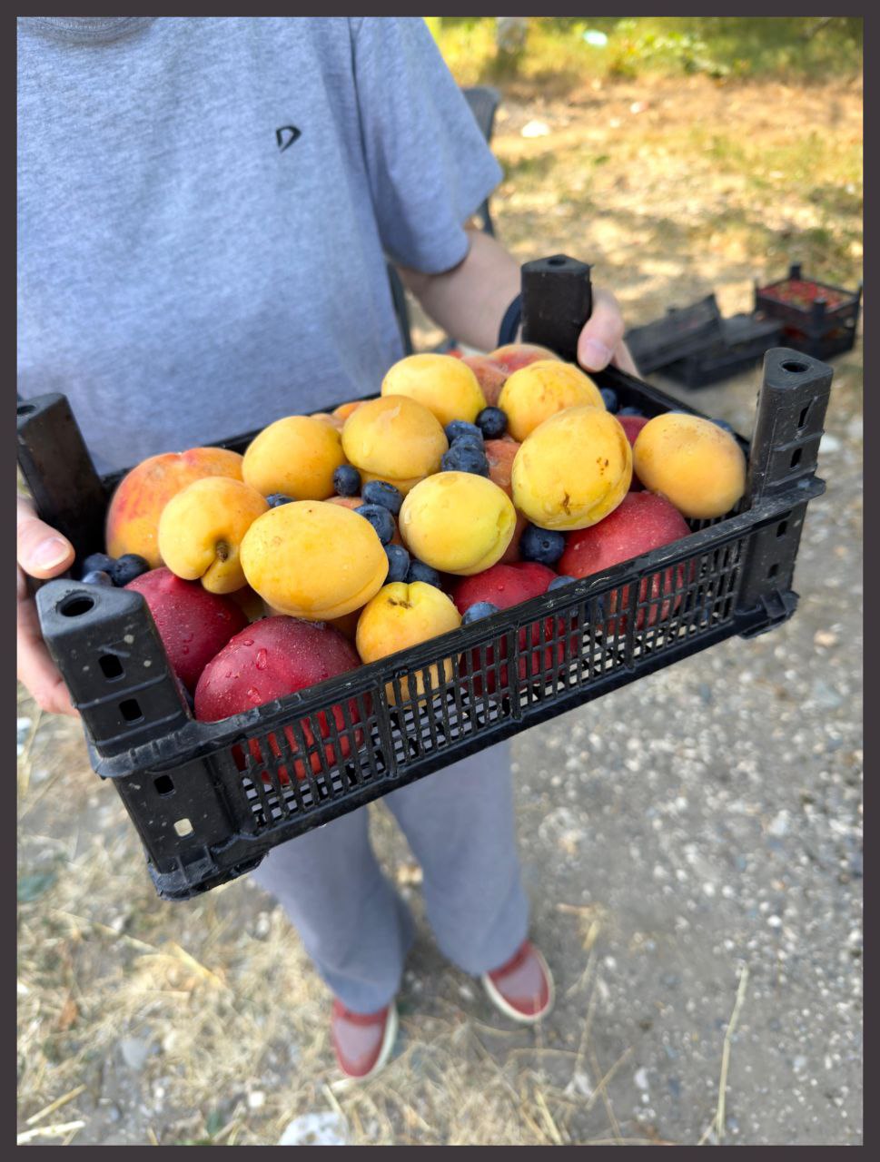 Wow! Тур по Кчр и Кбр. Кому реки по колено и горы по плечу! (25/62)