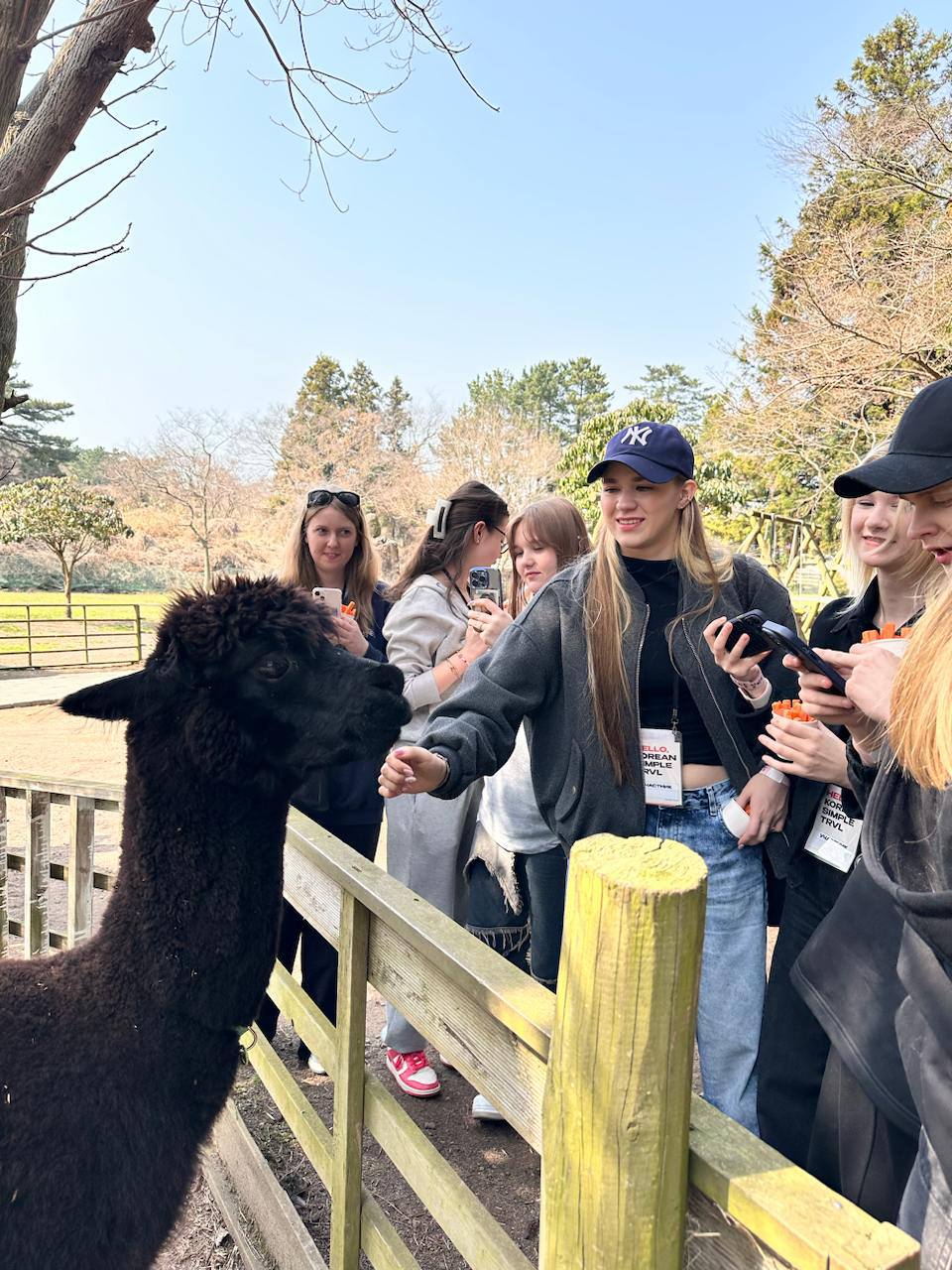 Цветение сакуры в Южной Корее. Сеул+Пусан (4/26)
