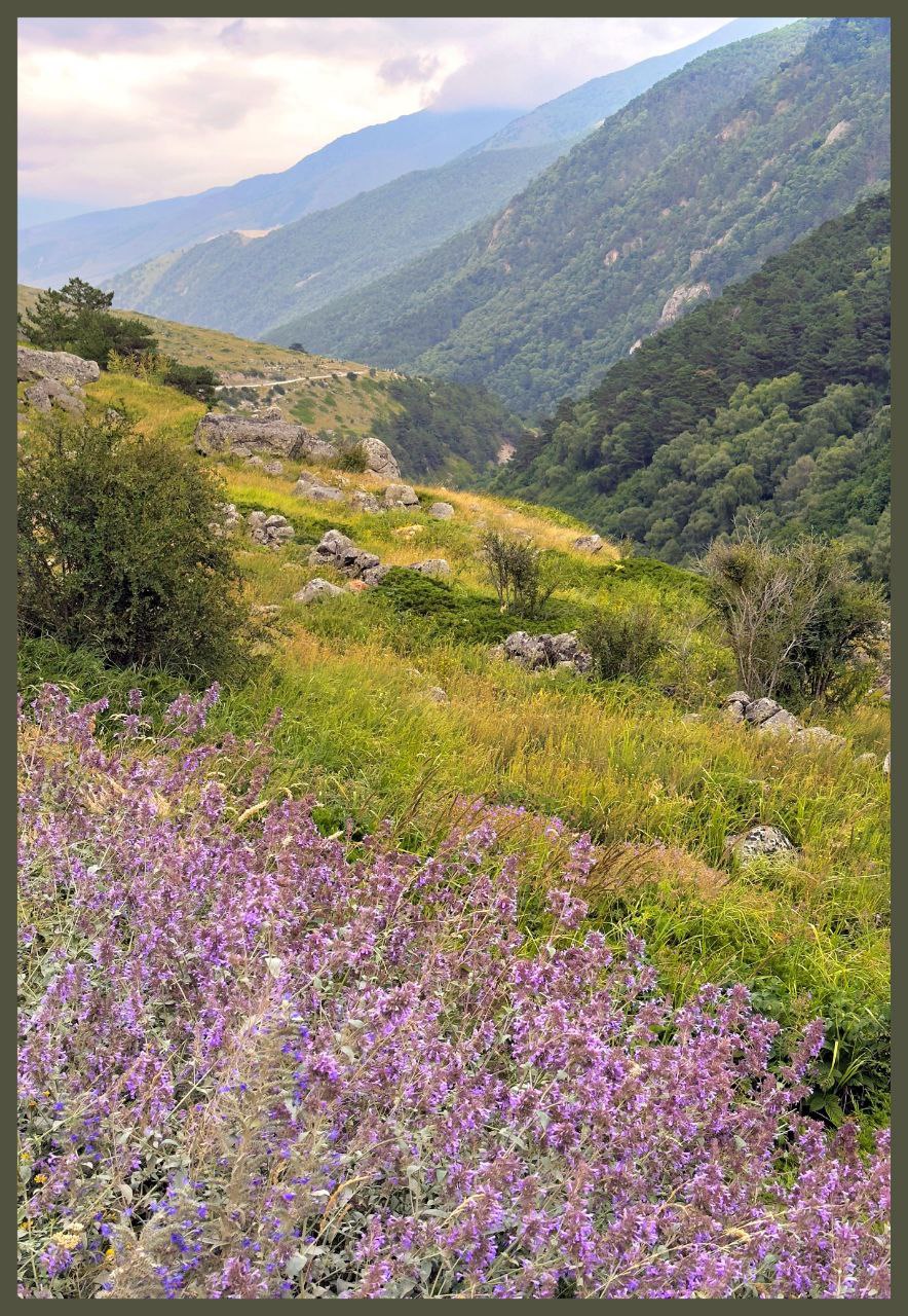 Wow! Тур по Кчр и Кбр. Кому реки по колено и горы по плечу! (32/62)